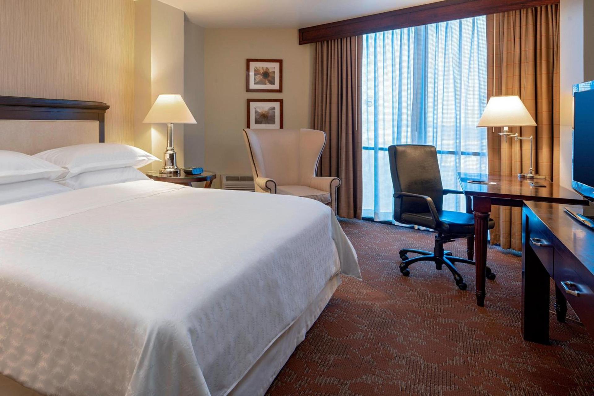Sheraton Houston Brookhollow Hotel photo 8