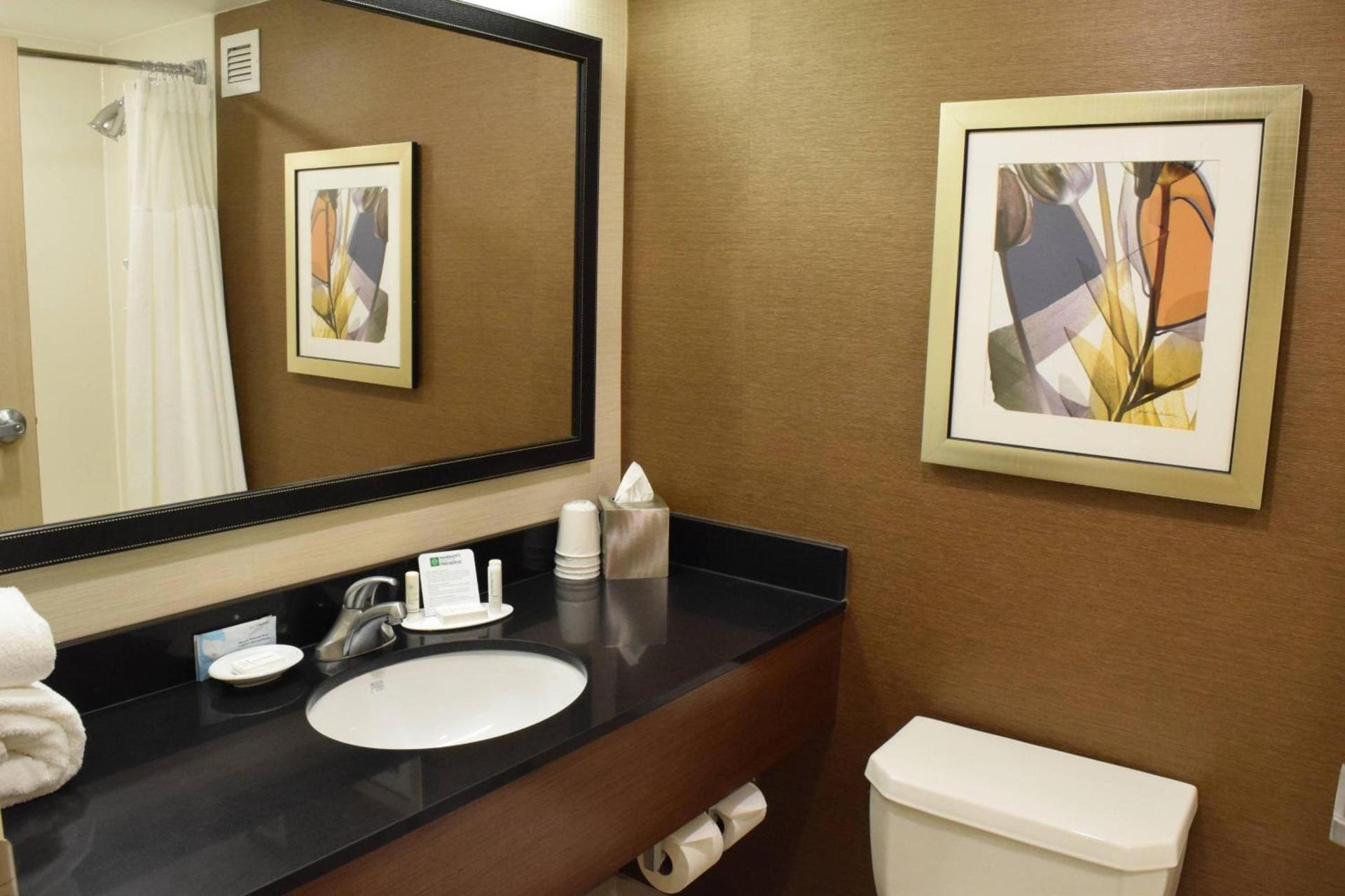 Fairfield Inn by Marriot Binghamton photo 6