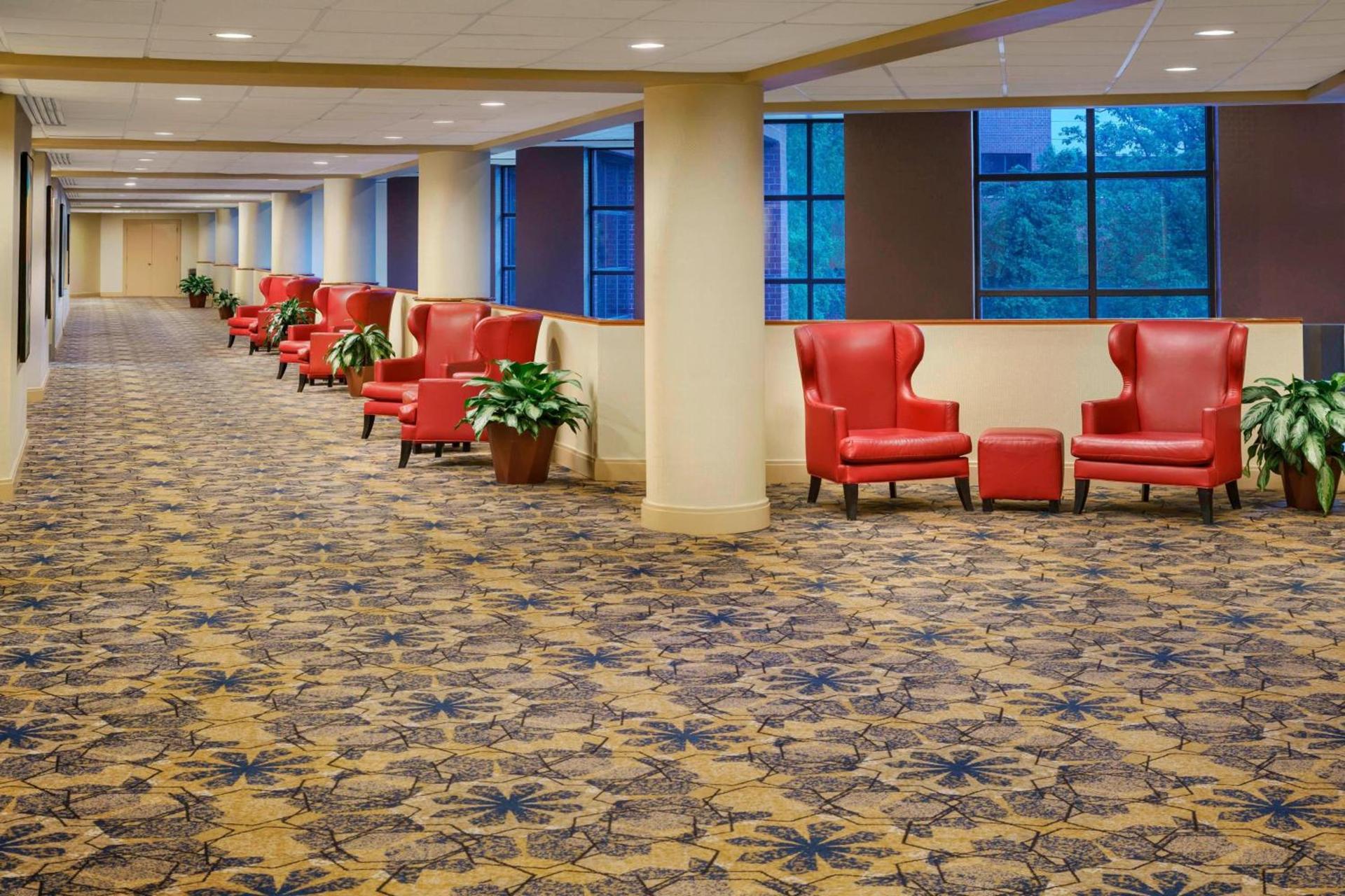 Sheraton Baltimore North photo 21