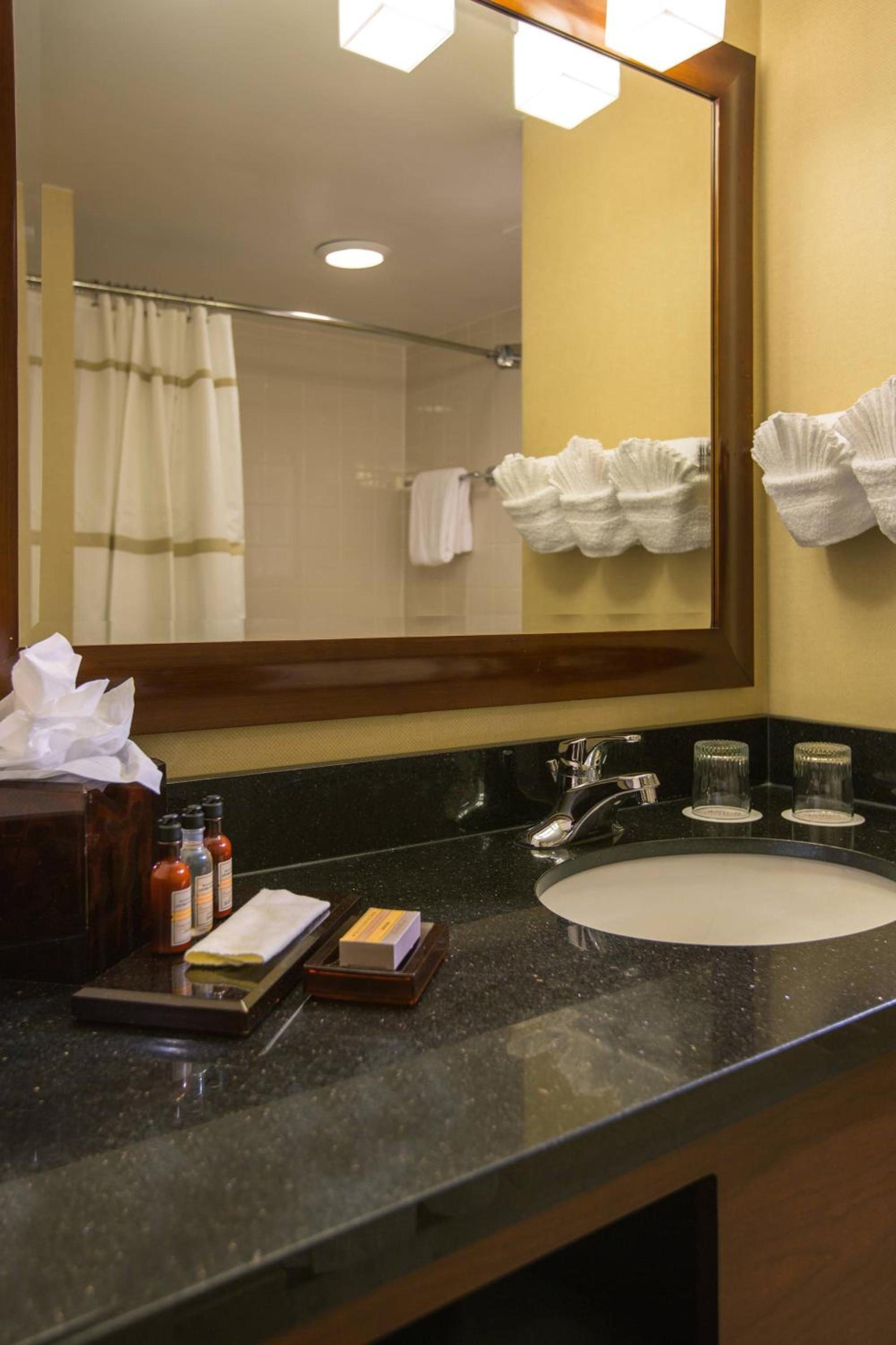 Baltimore Marriott Inner Harbor at Camden Yards photo 15