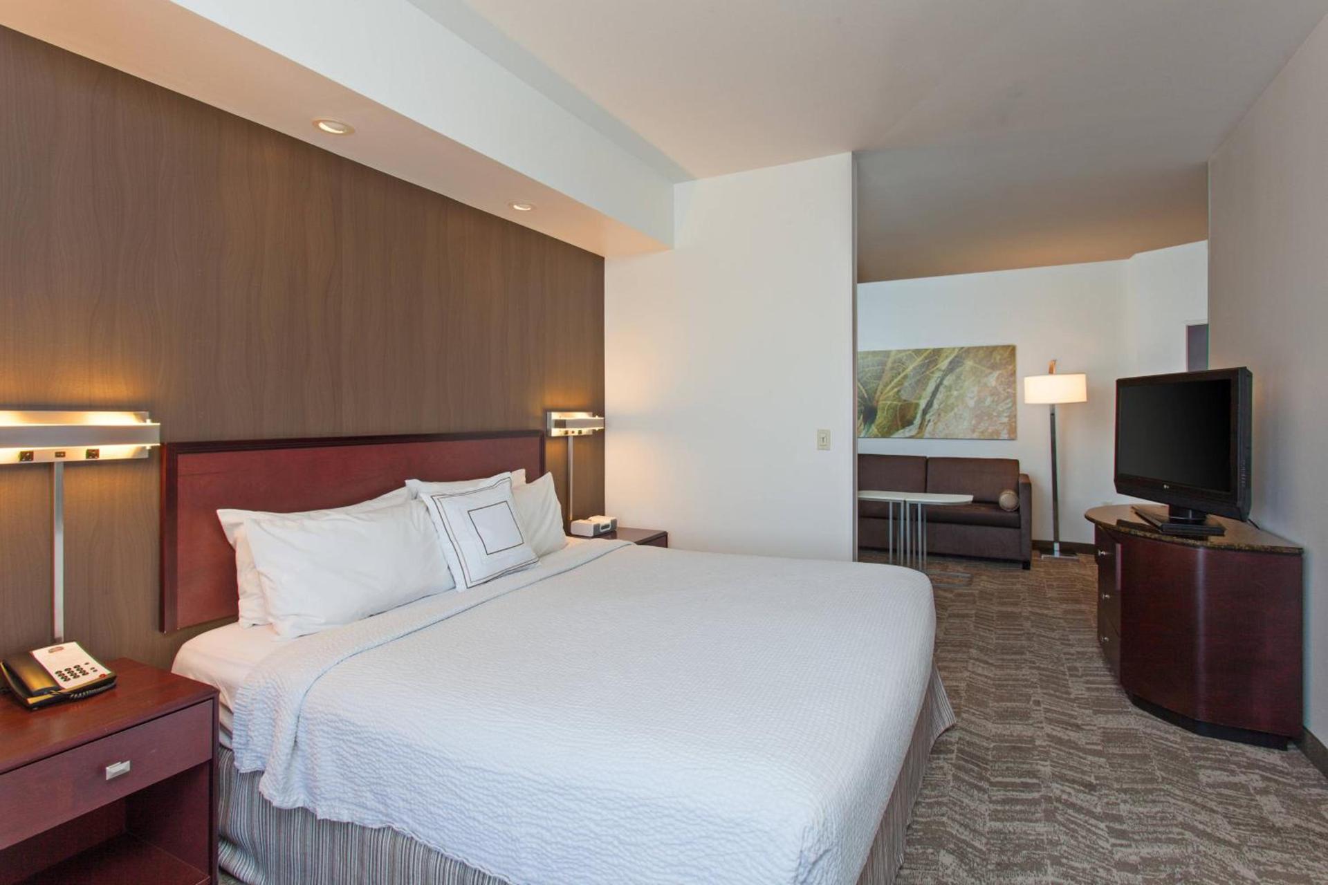 SpringHill Suites by Marriott El Paso photo 3