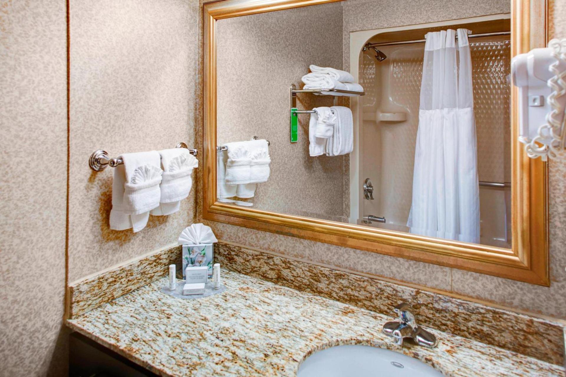 TownePlace Suites Atlanta Buckhead photo 13