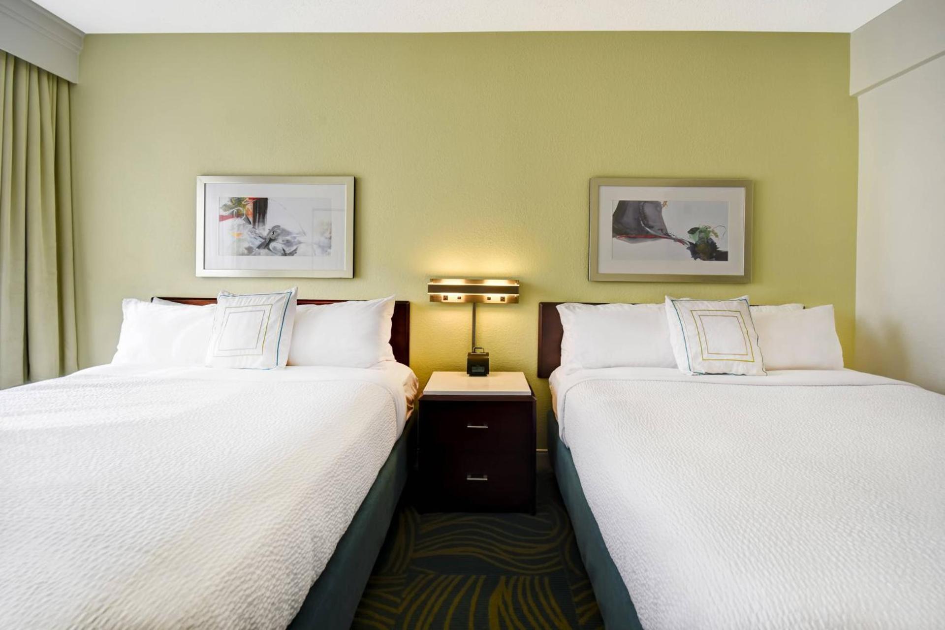 SpringHill Suites by Marriott Baltimore BWI Airport photo 14