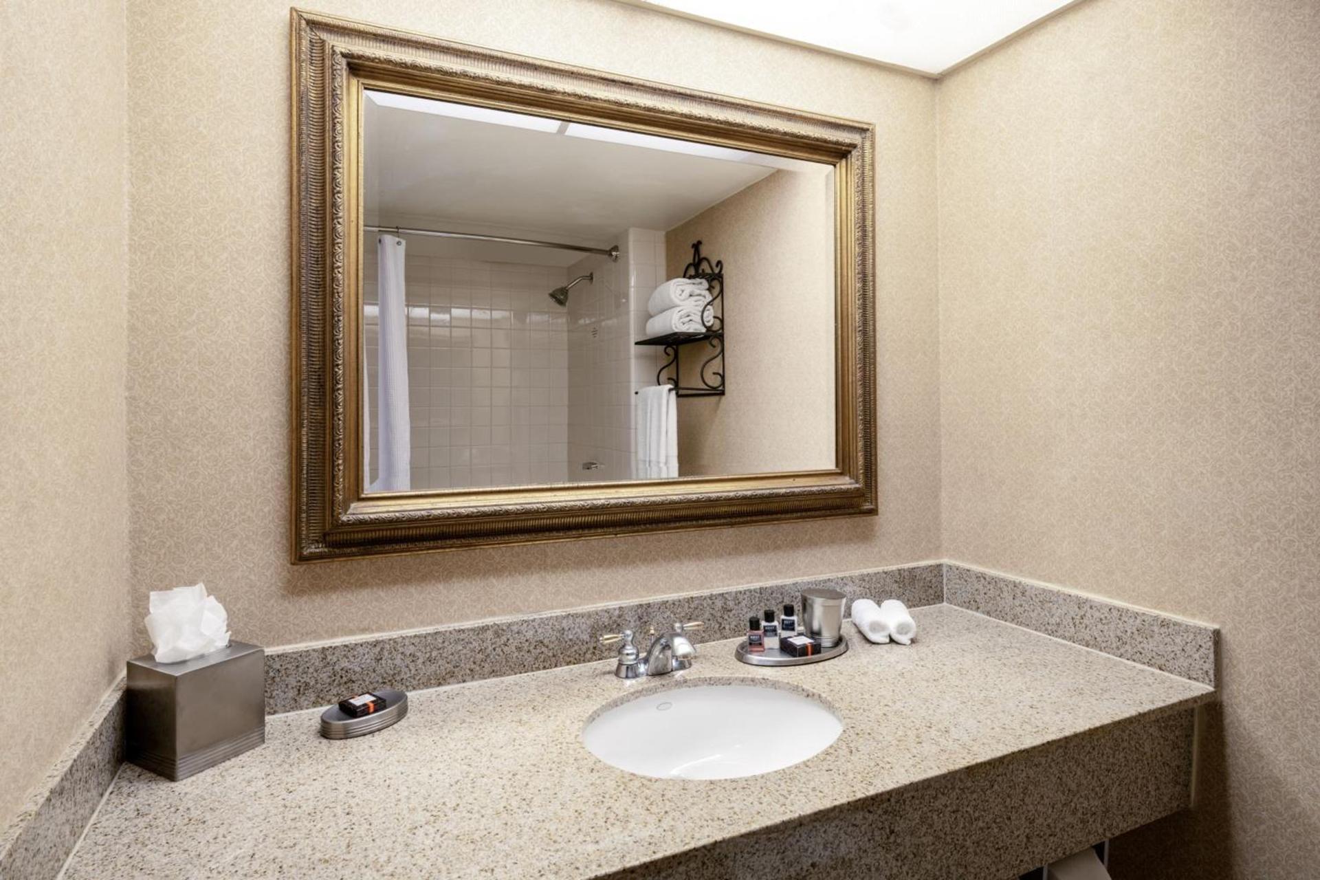 Austin Southpark Hotel photo 10
