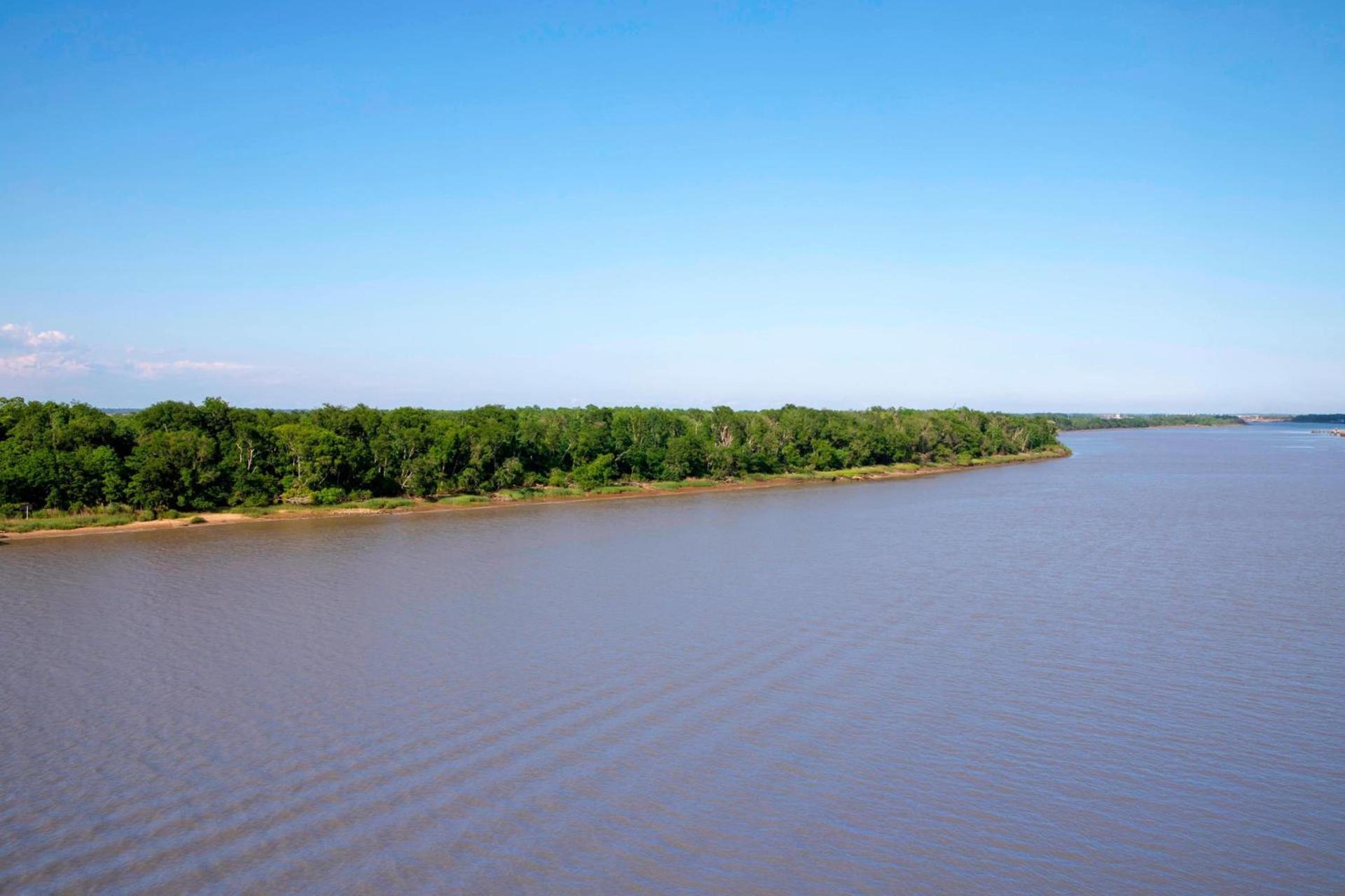 Marriott Savannah Riverfront photo 6