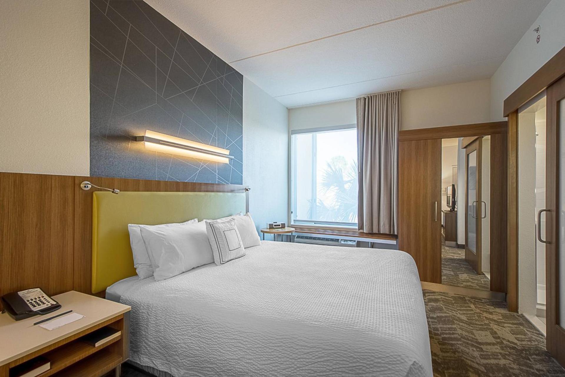 SpringHill Suites Tampa North/Tampa Palms photo 12