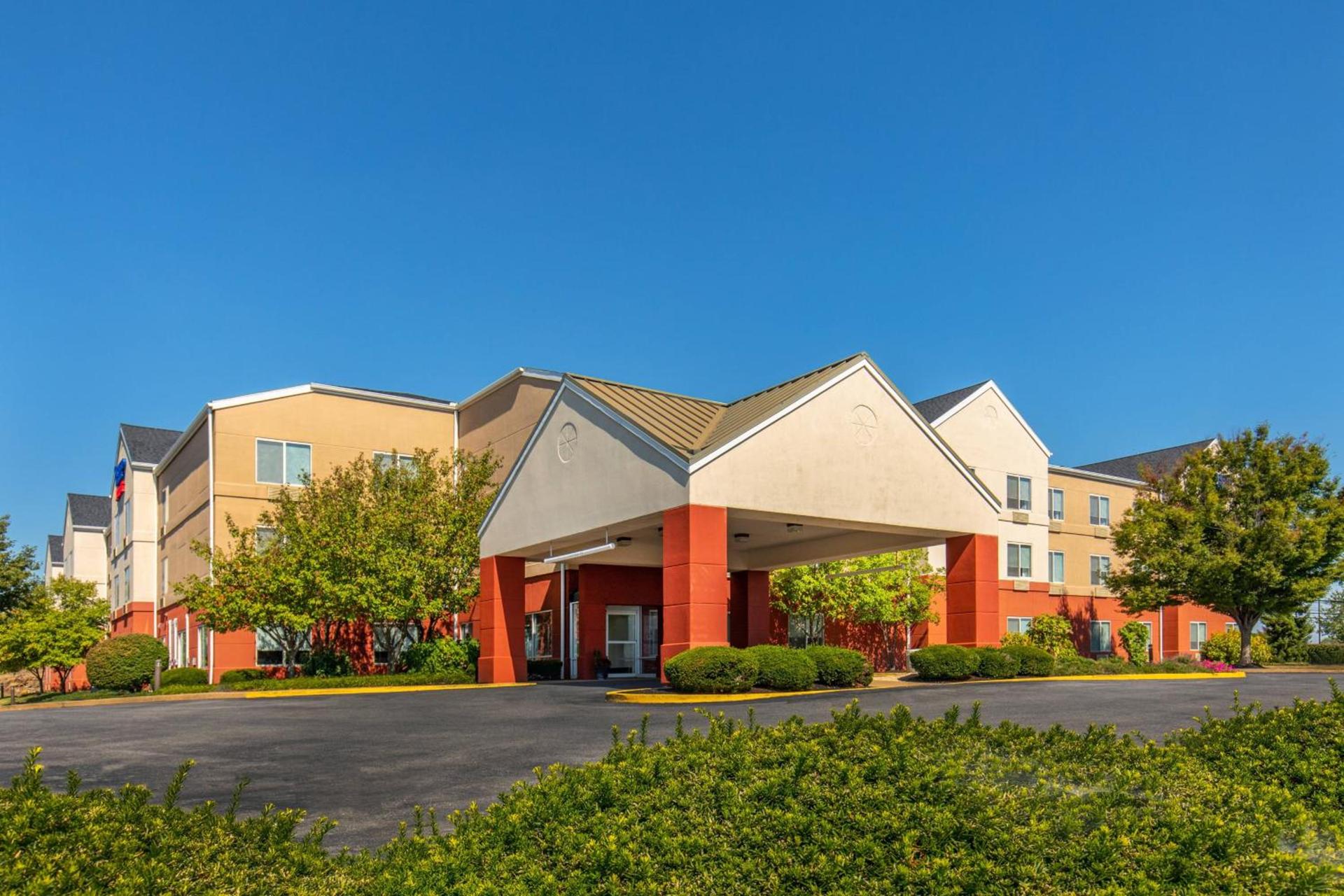 Spark by Hilton Lancaster photo 1