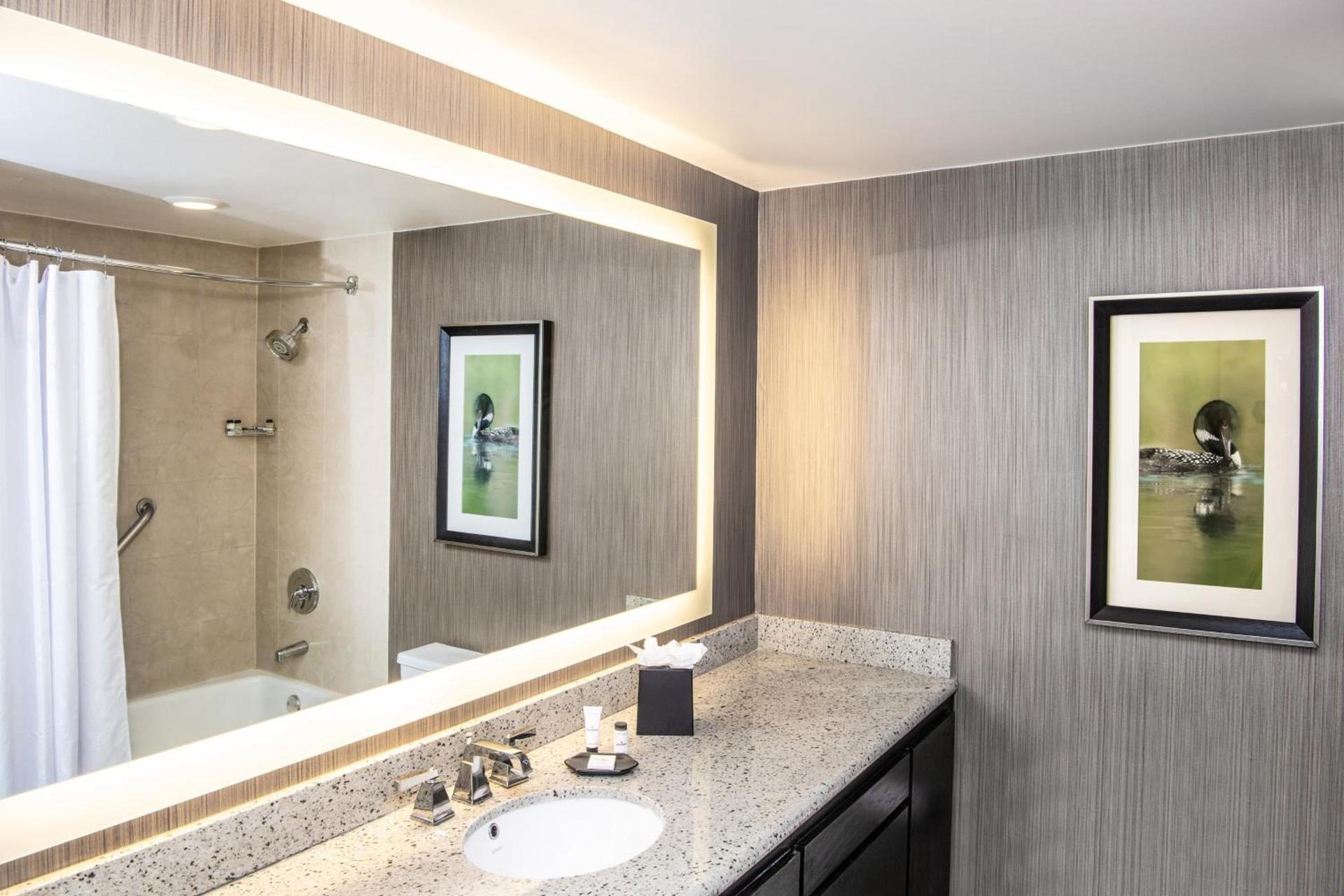 Sheraton Minneapolis West Hotel photo 23