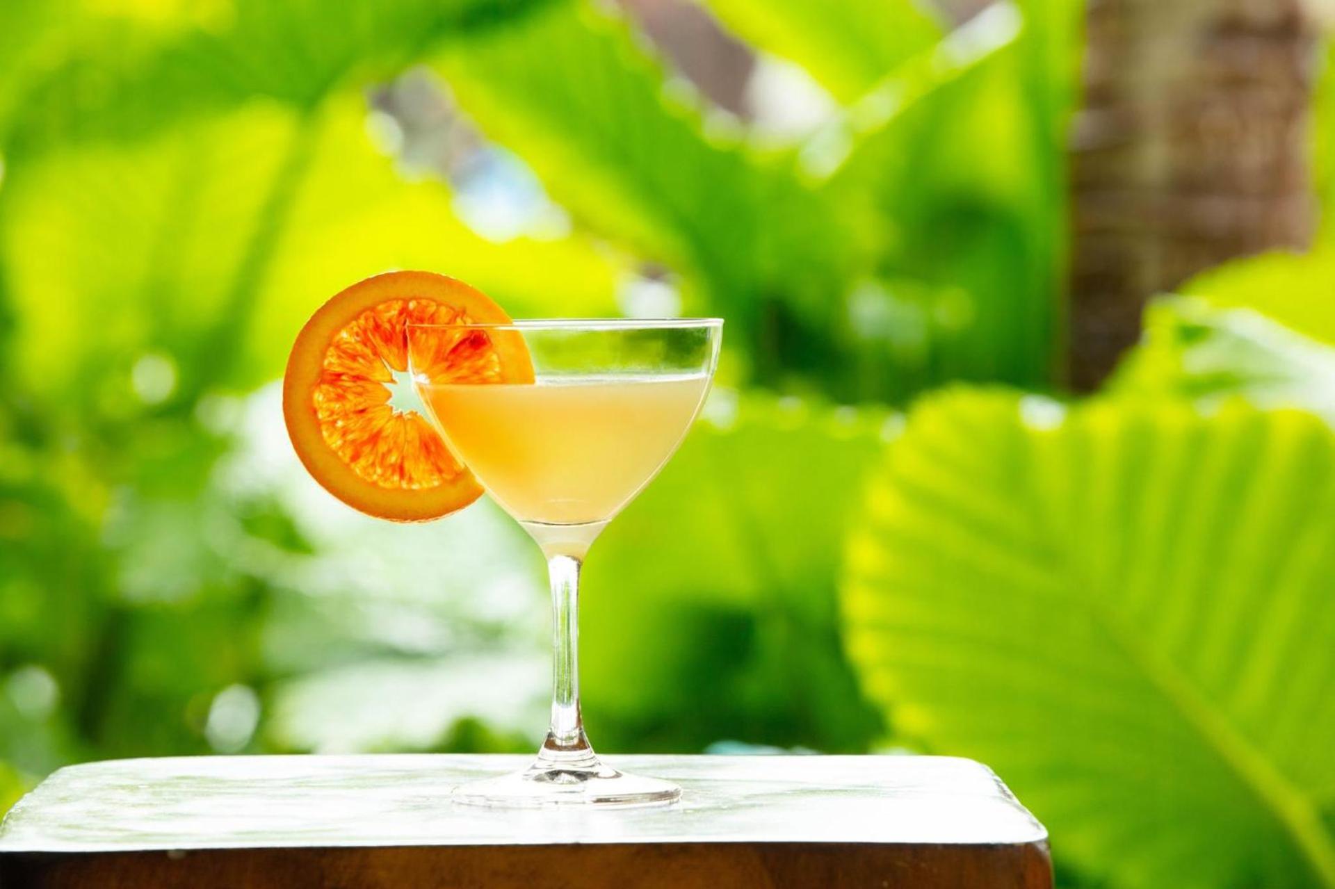 Kimpton Vero Beach Hotel & Spa by IHG photo 37