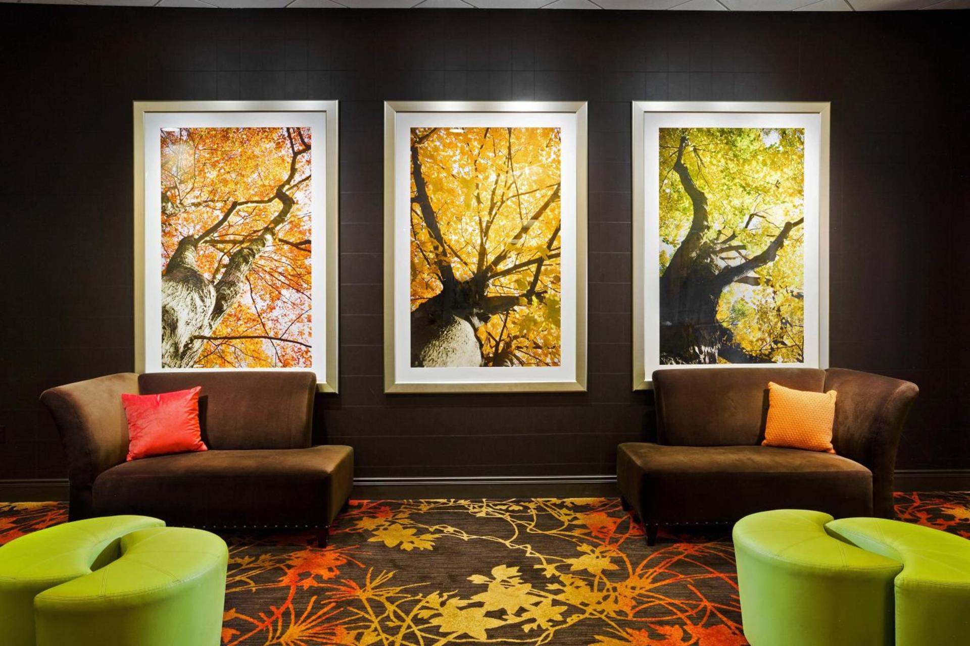 Sheraton Springfield Monarch Place Hotel photo 3