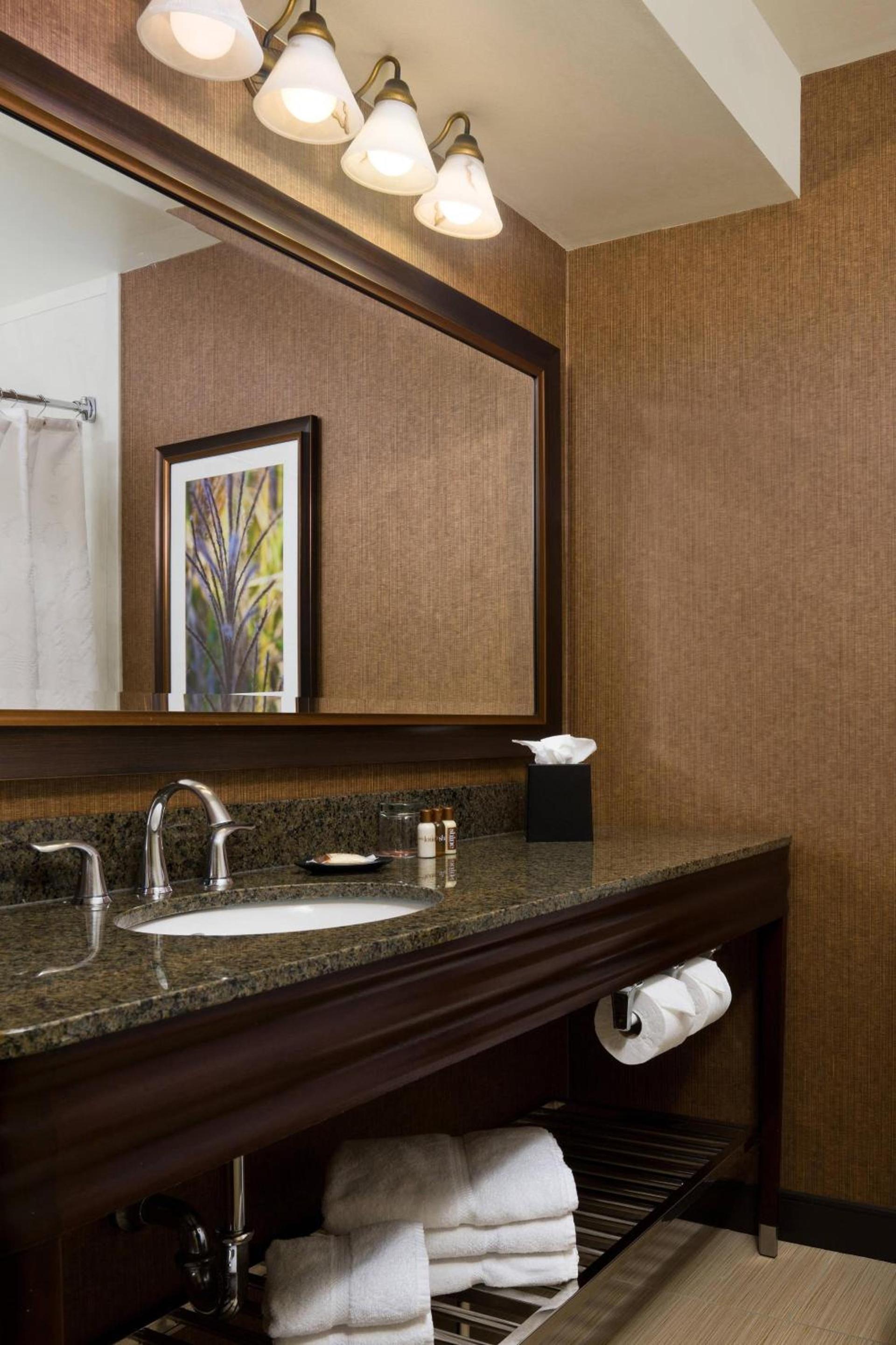 Sheraton Springfield Monarch Place Hotel photo 10