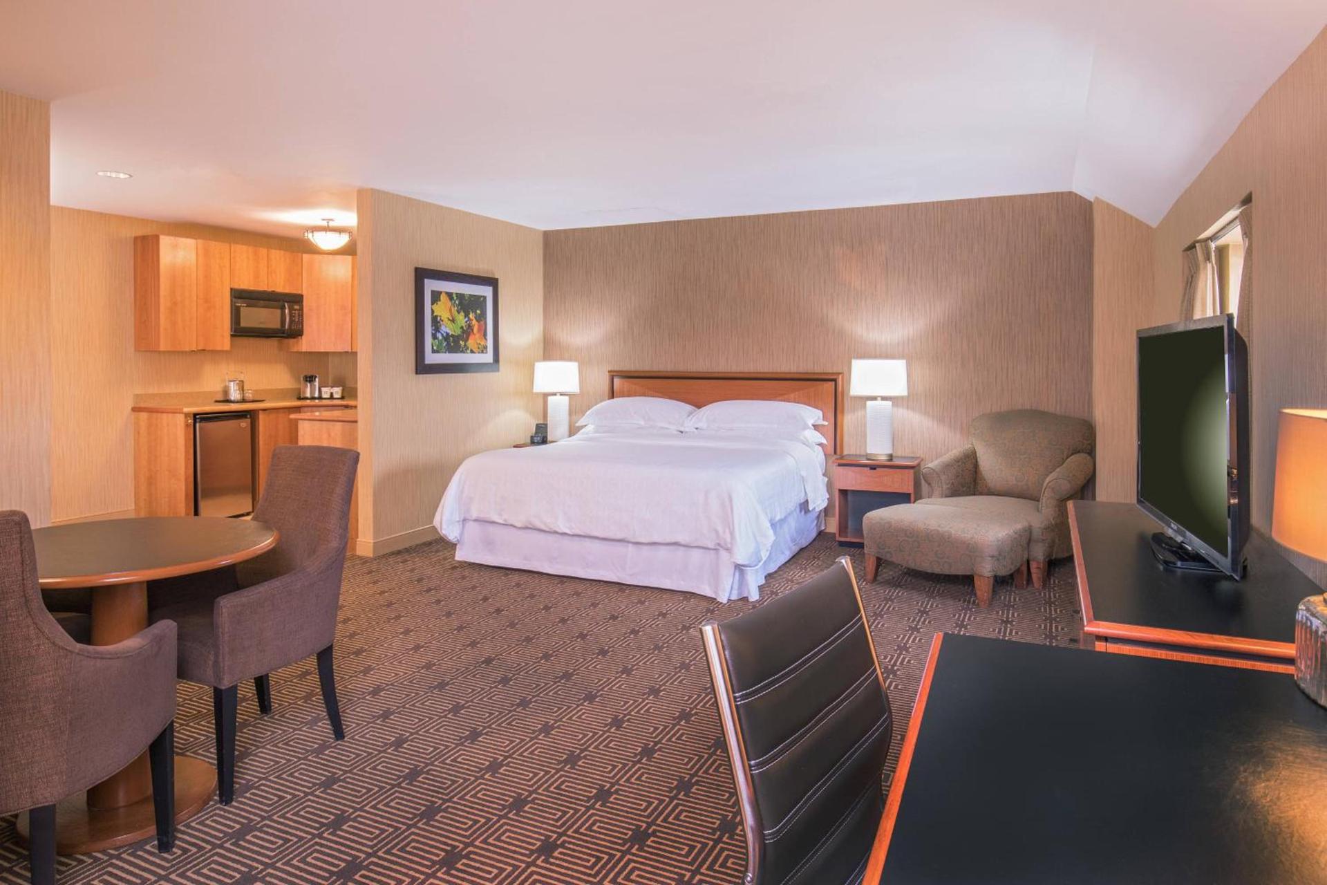 Sheraton Springfield Monarch Place Hotel photo 15