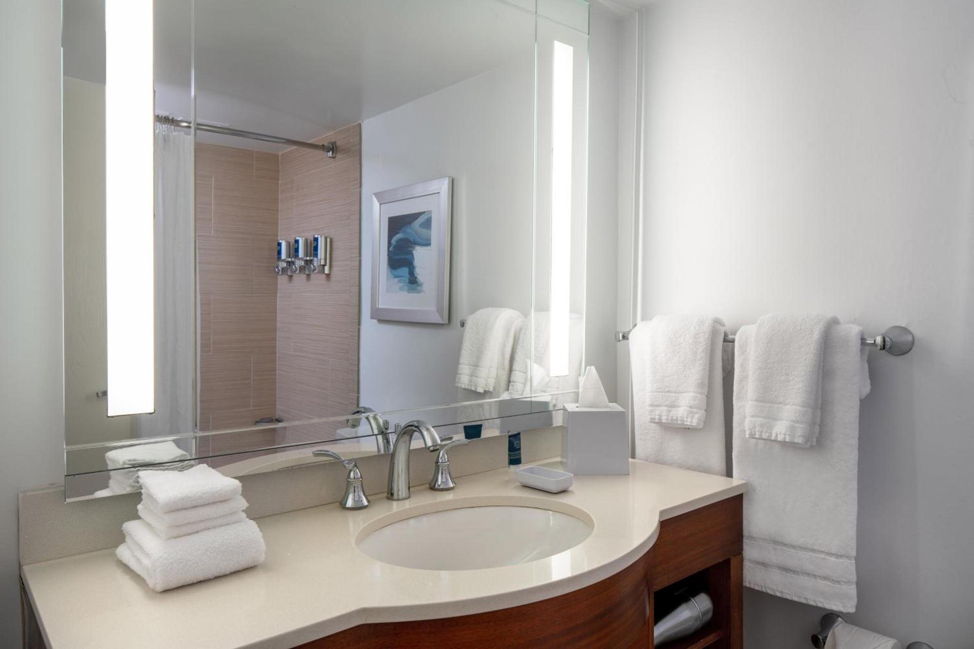 Four Points by Sheraton Suites Tampa Airport Westshore photo 17