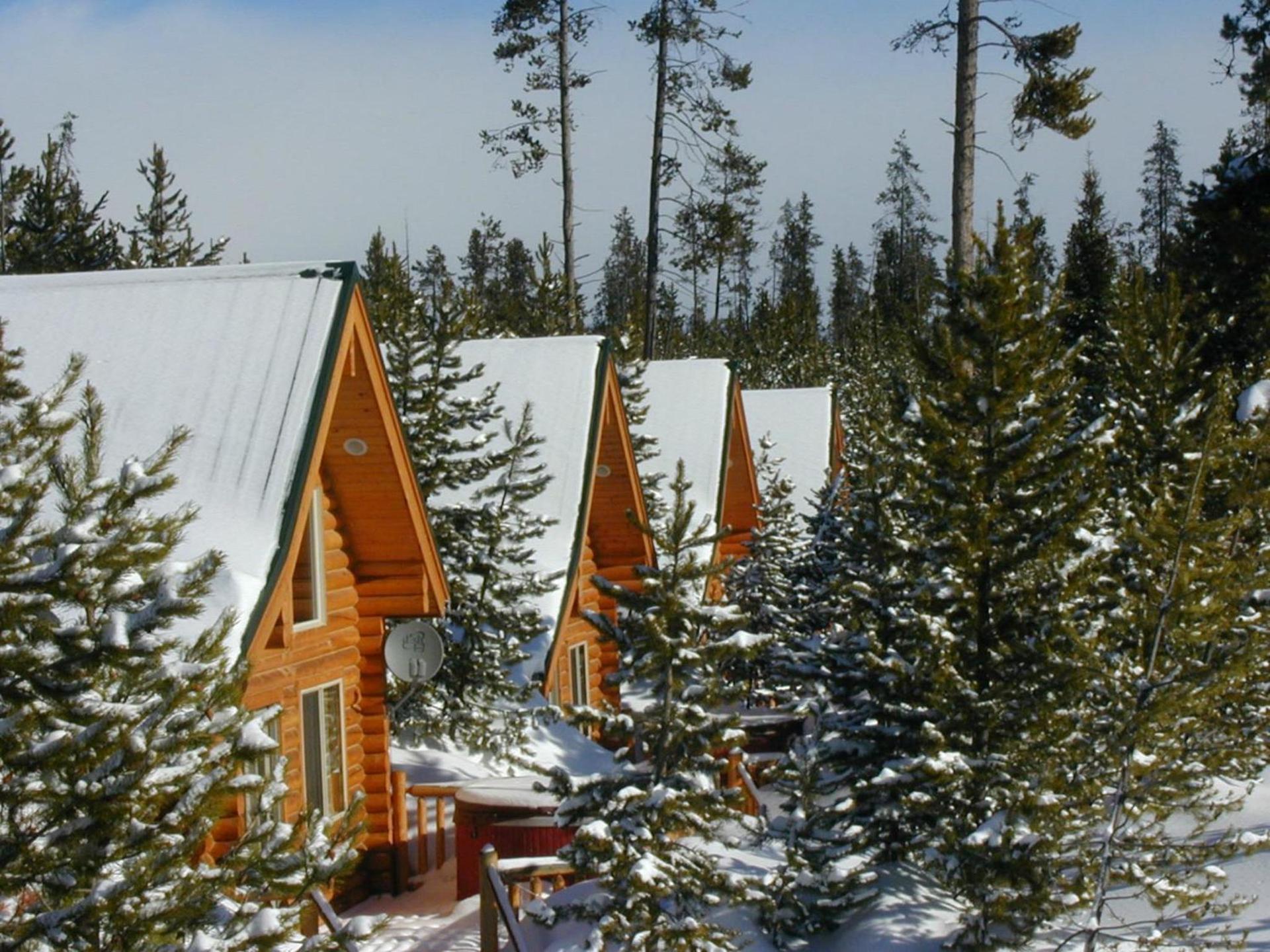 The Pines at Island Park photo 65