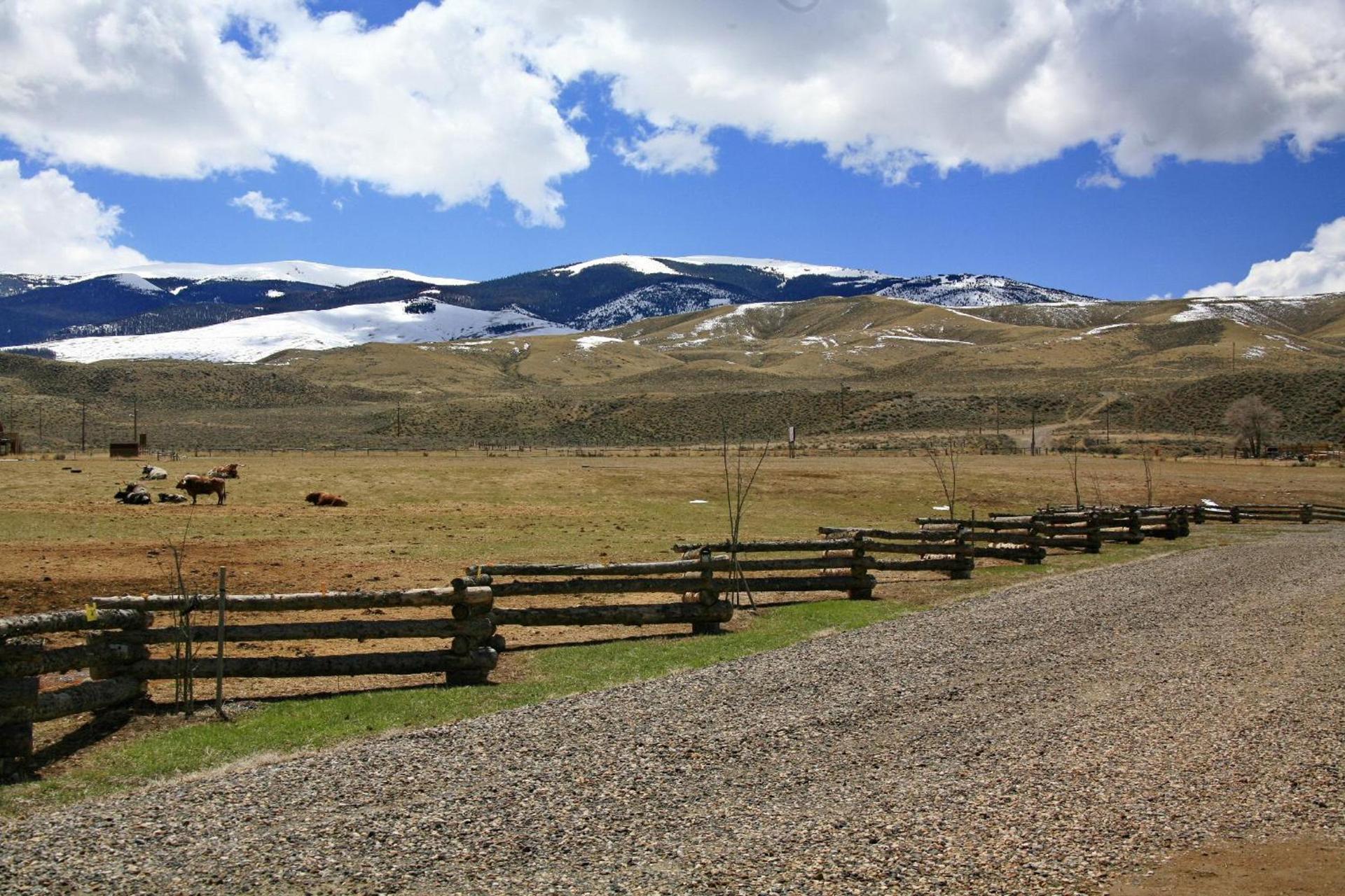 The Longhorn Ranch Resort Lodge & RV Park photo 35