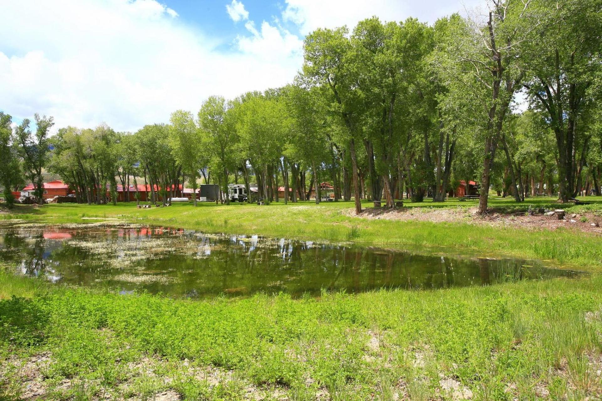 The Longhorn Ranch Resort Lodge & RV Park photo 36