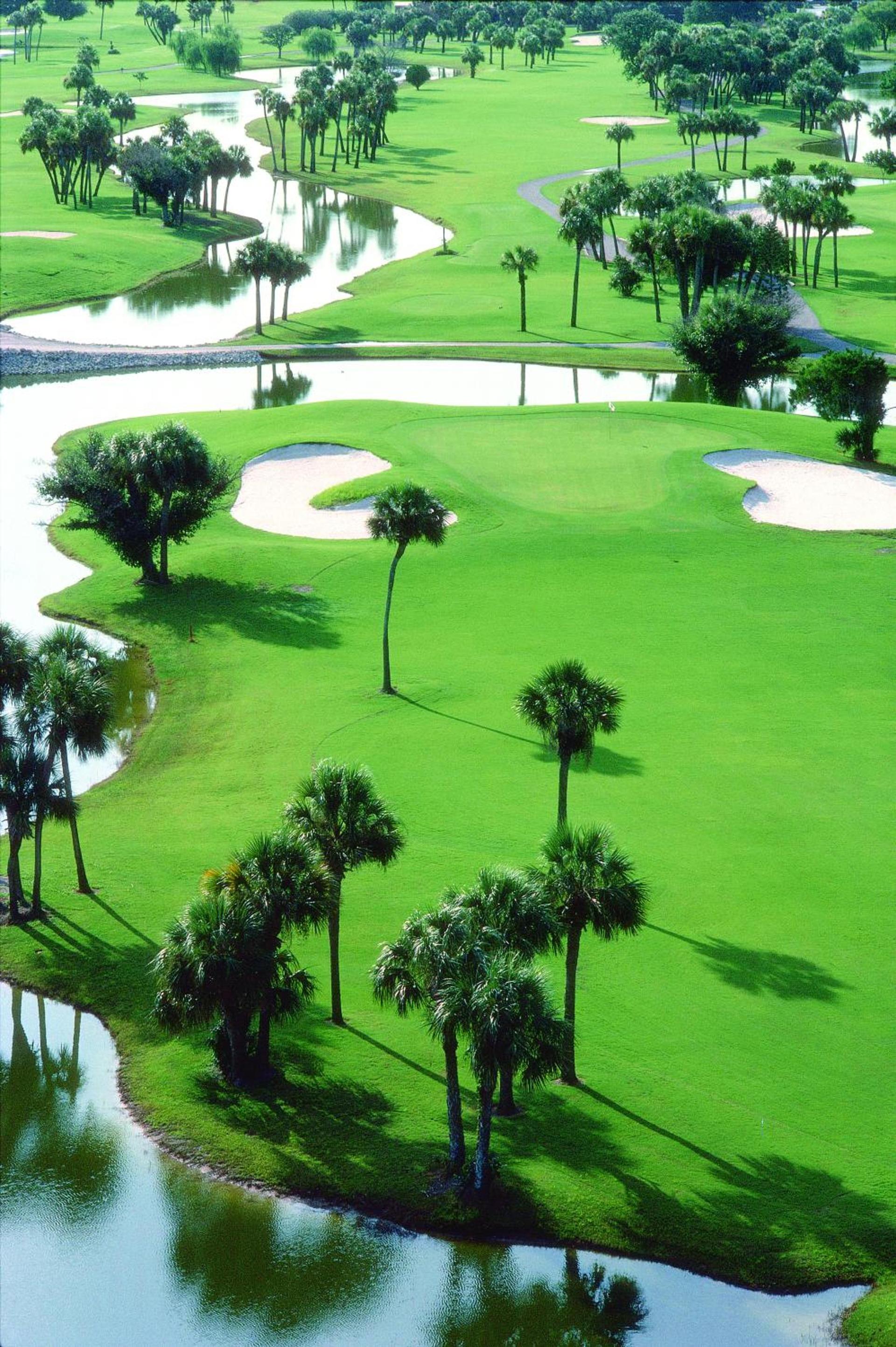 Resort at Longboat Key Club photo 6