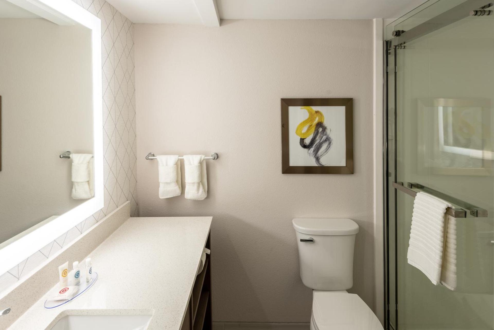 Comfort Inn & Suites Fishers - Indianapolis photo 61