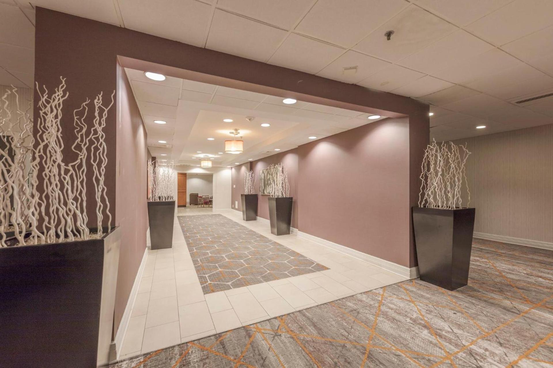 Holiday Inn Austin Midtown by IHG photo 24