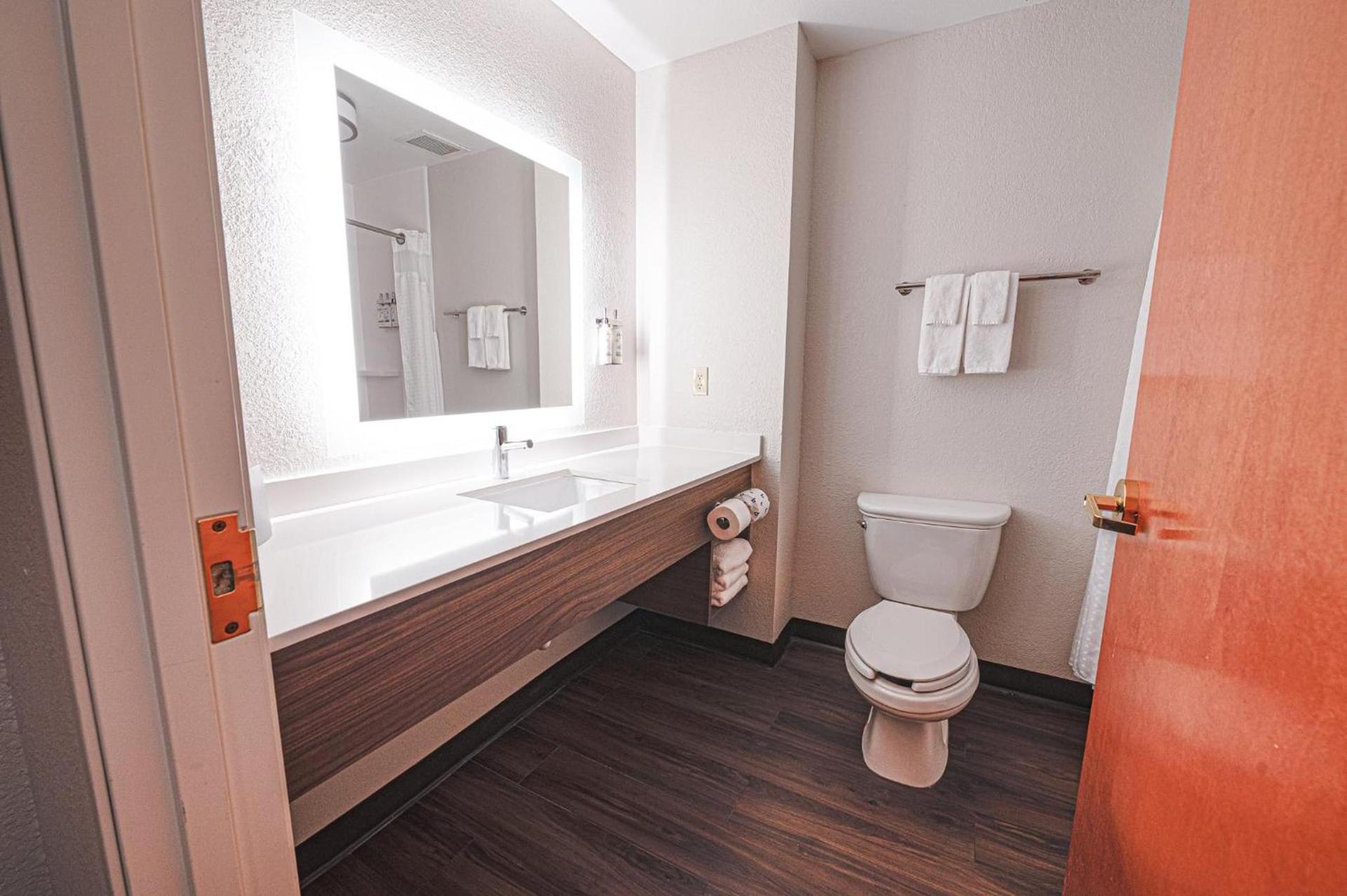 Holiday Inn Express Hotel & Suites East Lansing by IHG photo 27