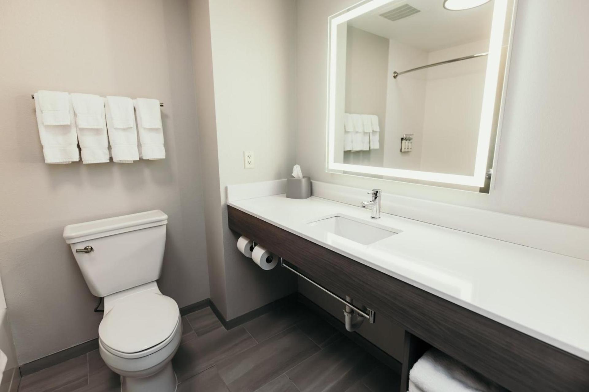 Holiday Inn Express and Suites Urbandale Des Moines by IHG photo 13