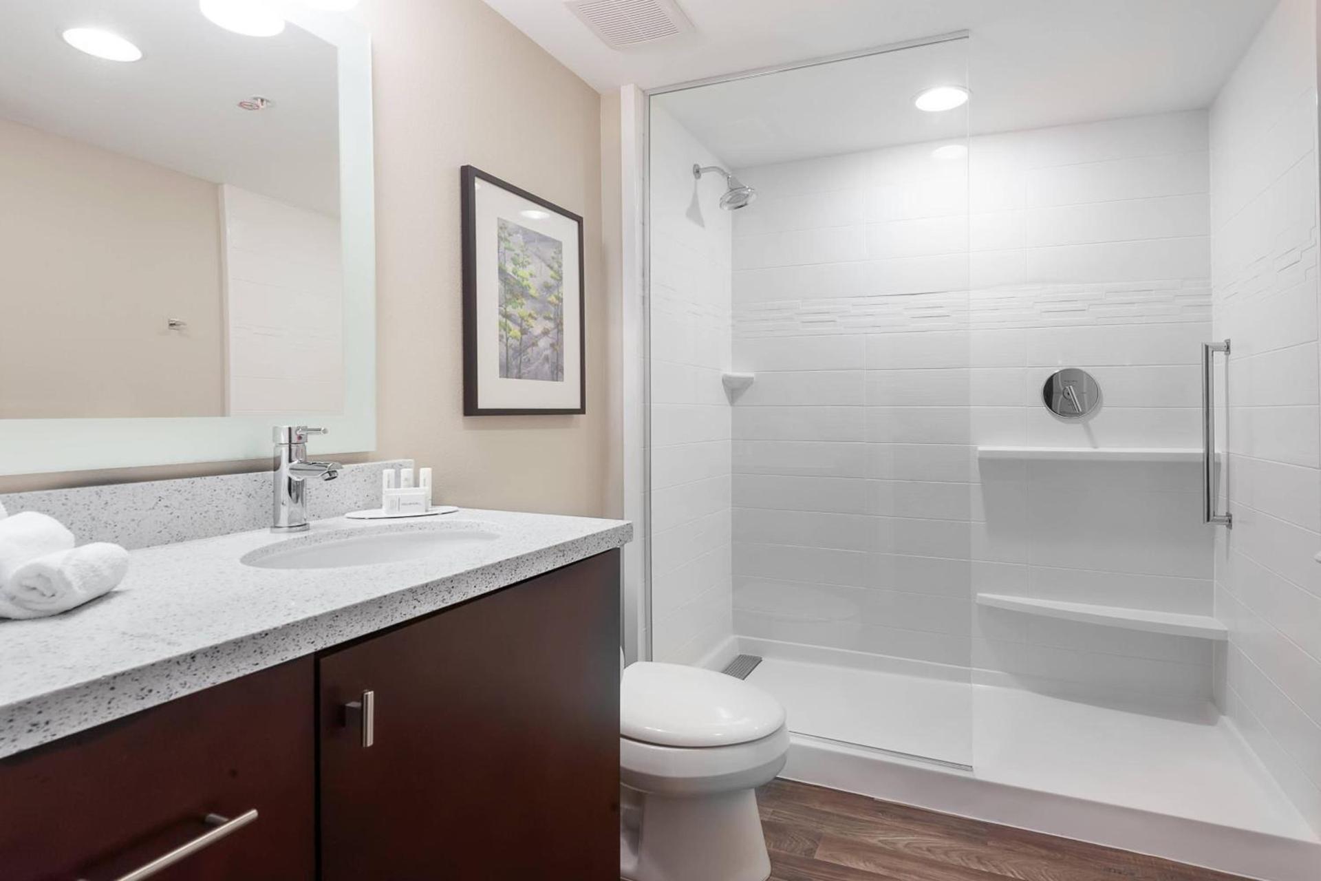 TownePlace Suites by Marriott Austin Parmer/Tech Ridge photo 14