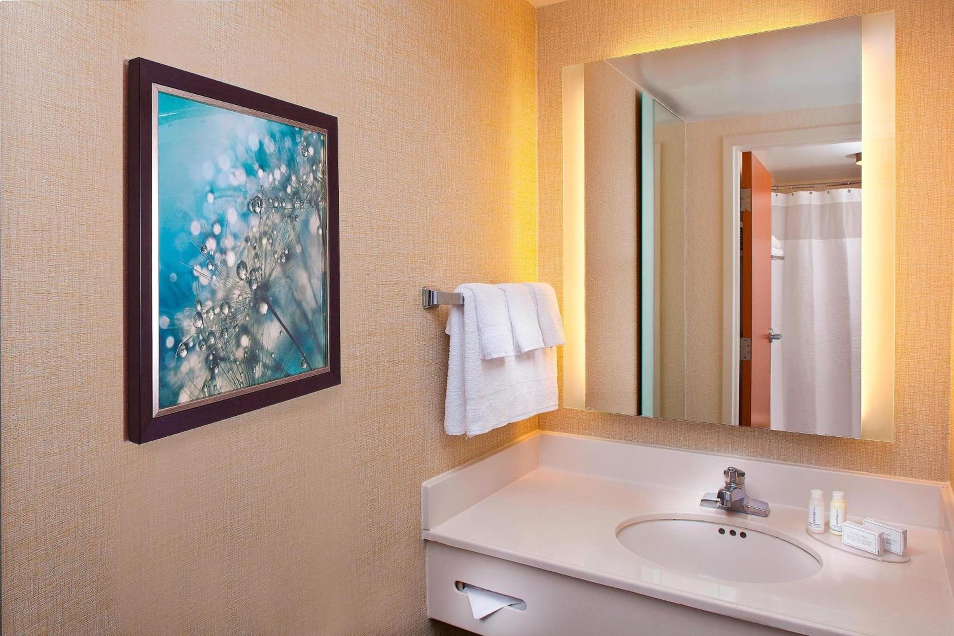 SpringHill Suites by Marriott Orlando Lake Buena Vista in Marriott Village photo 11