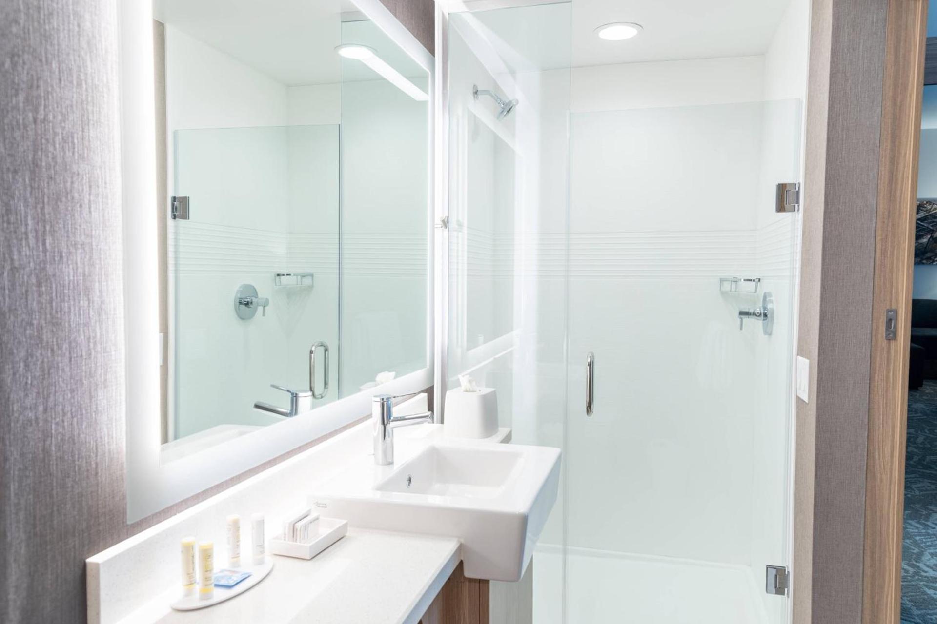 SpringHill Suites by Marriott Overland Park Leawood photo 21