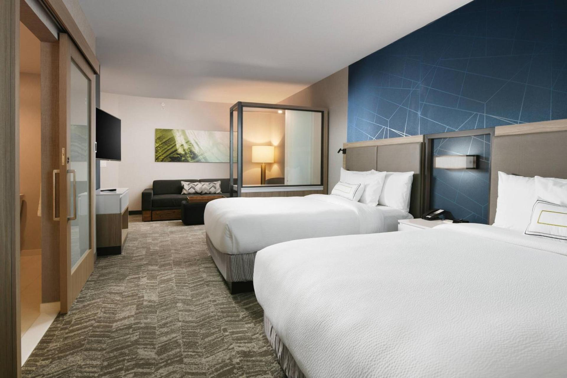 SpringHill Suites Dallas DFW Airport South/CentrePort photo 6