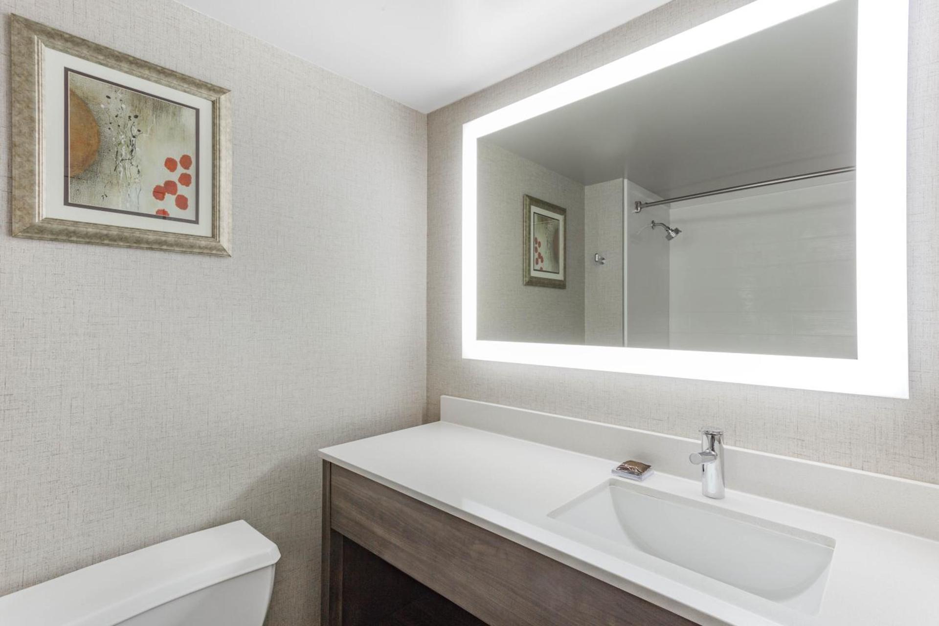 Wingate by Wyndham Tinley Park photo 59