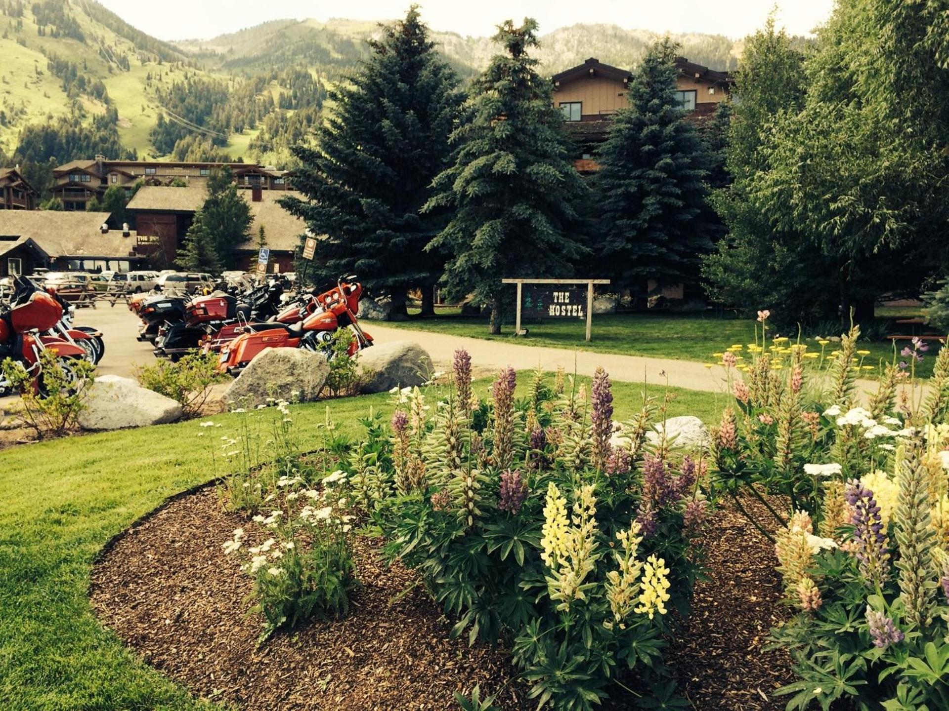 The Hostel photo 3