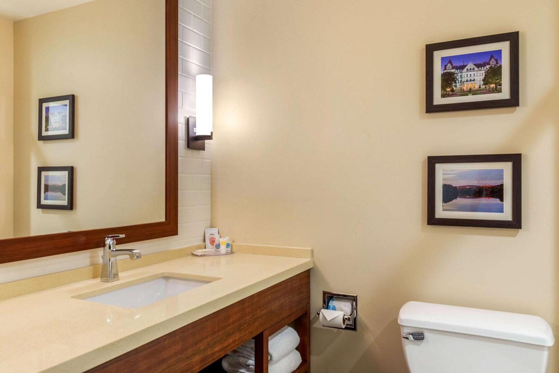 Comfort Inn & Suites Schenectady - Scotia photo 2