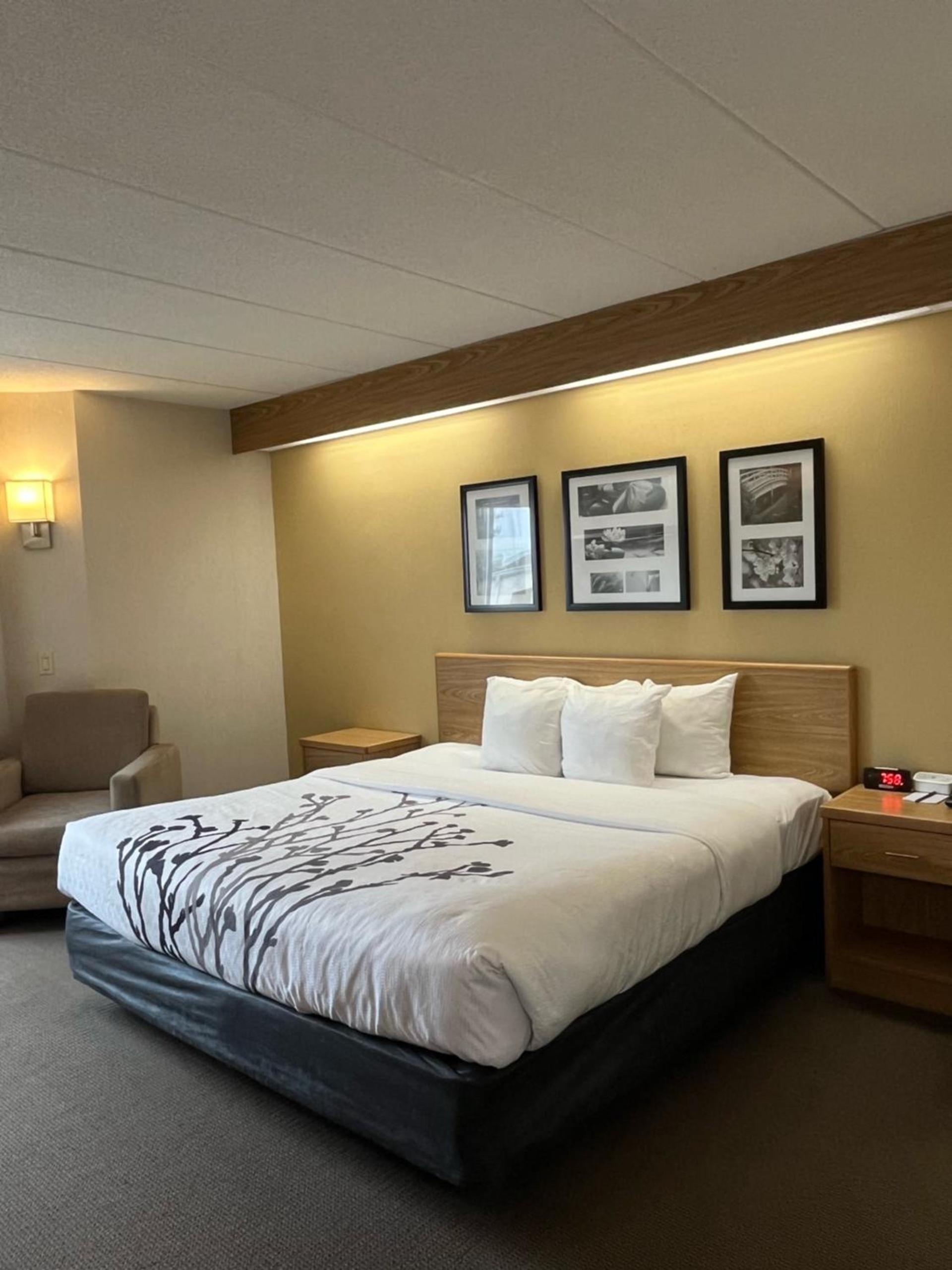 Spark by Hilton Lynchburg photo 15