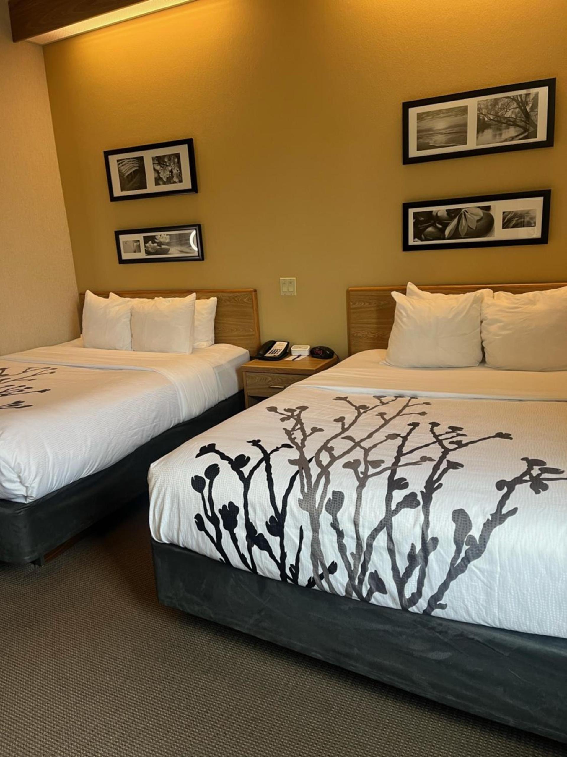 Spark by Hilton Lynchburg photo 21