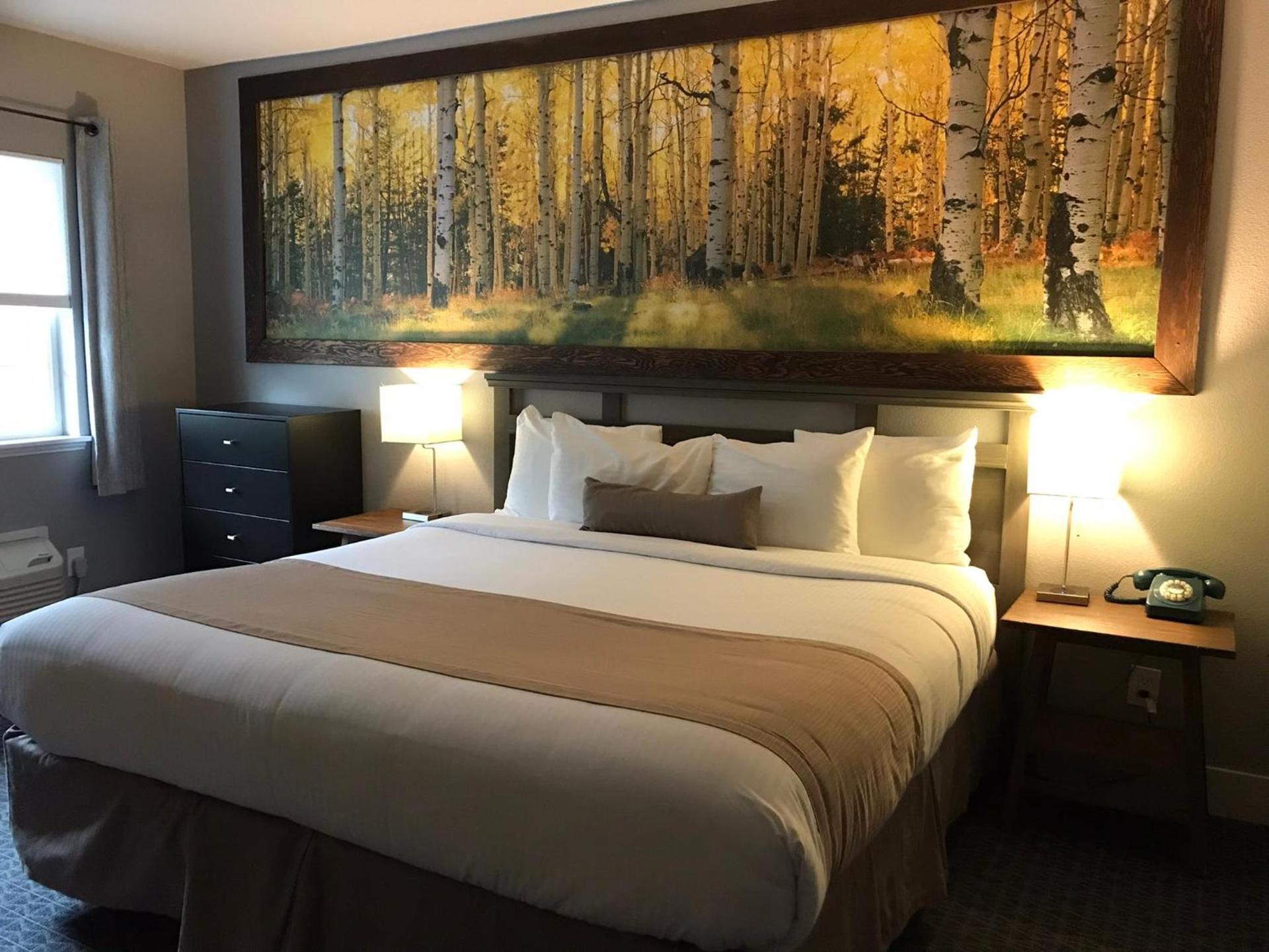 Blue Elk Inn photo 65