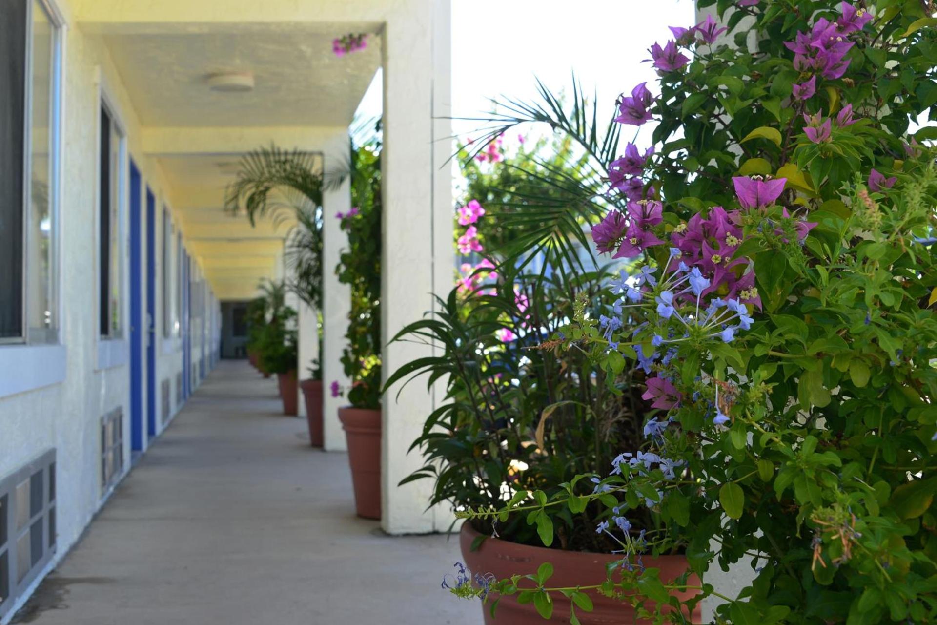 Americas Best Value Inn Bradenton-Sarasota photo 4