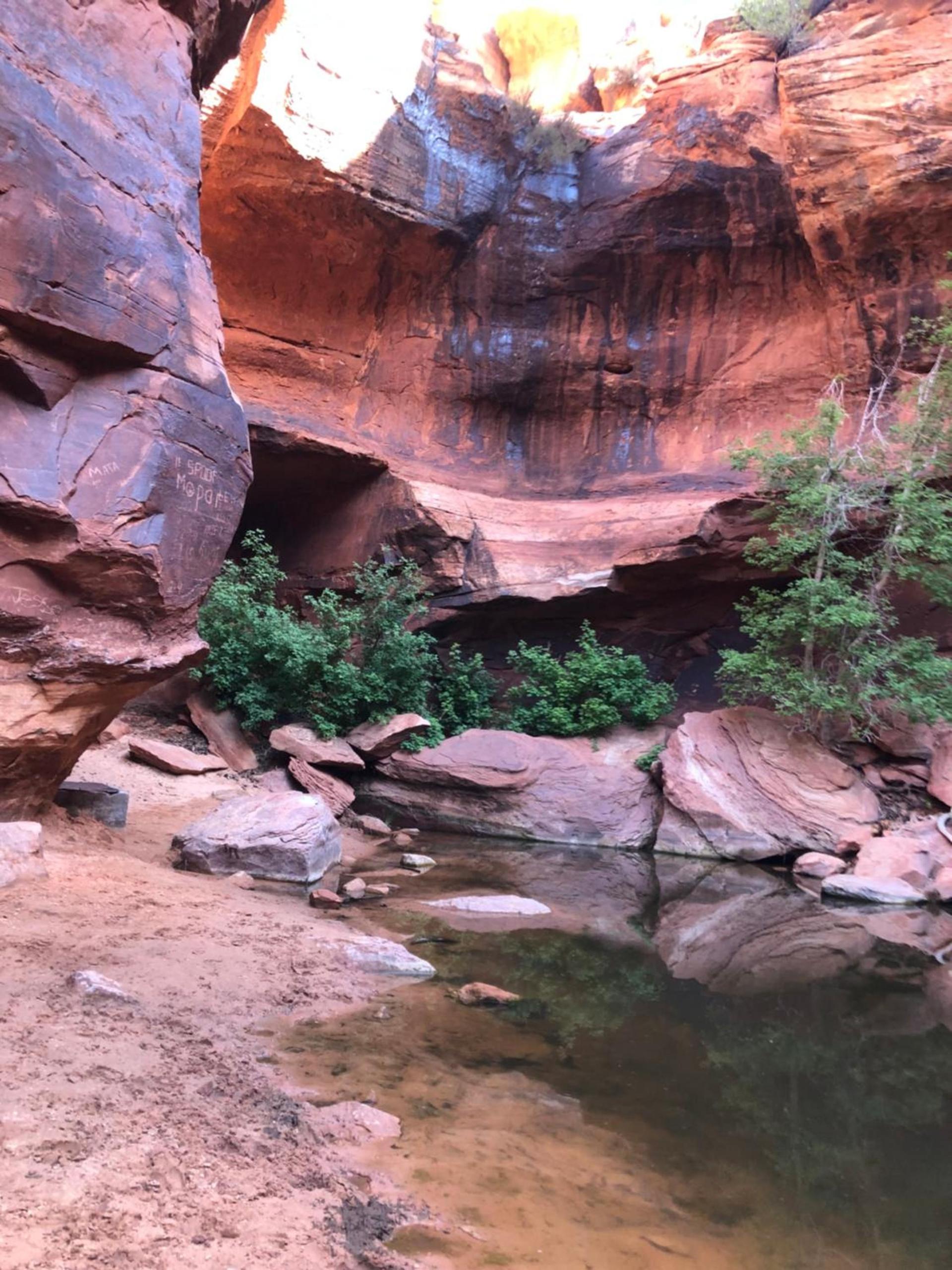 Zion Cliff Lodge photo 53