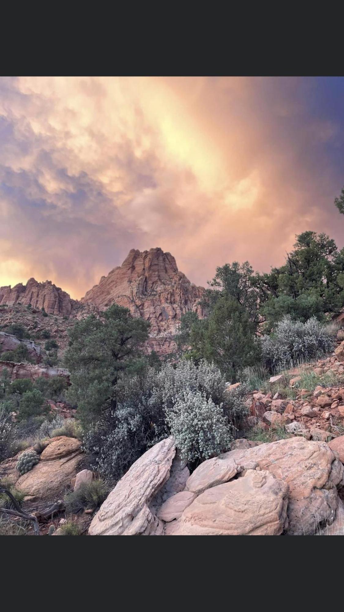 Zion Cliff Lodge photo 55