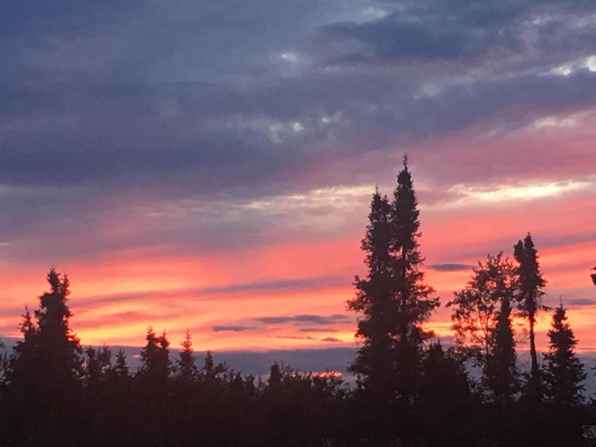Tolsona Lake Lodge photo 9