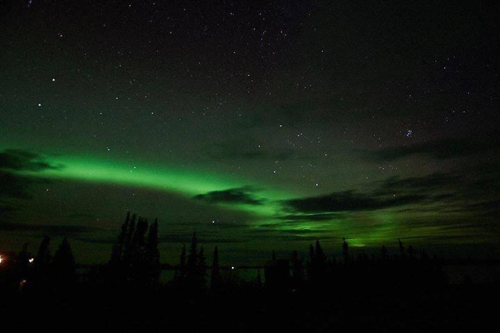 Tolsona Lake Lodge photo 11