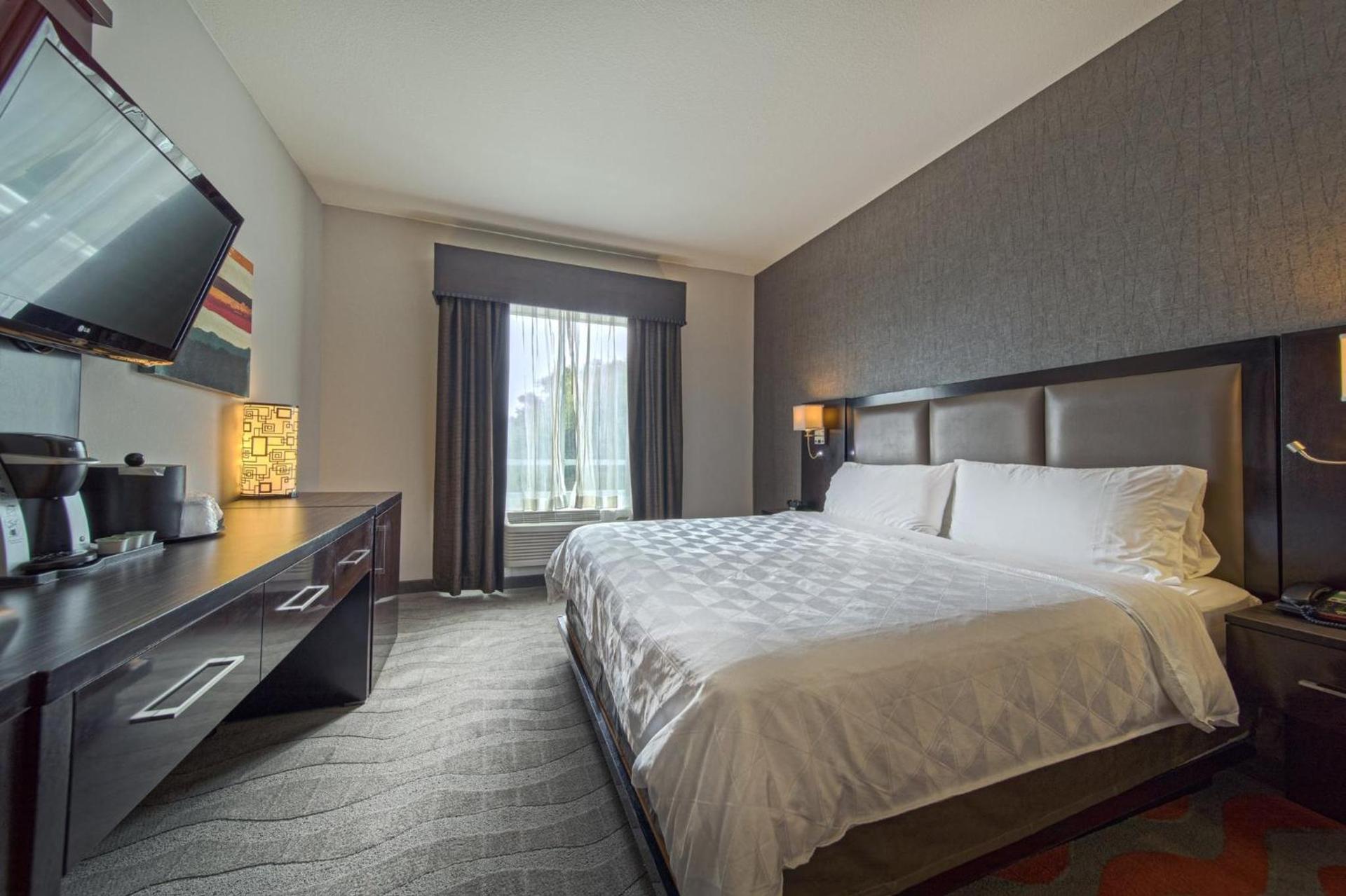 Holiday Inn & Suites Houston West - Westway Park by IHG photo 69