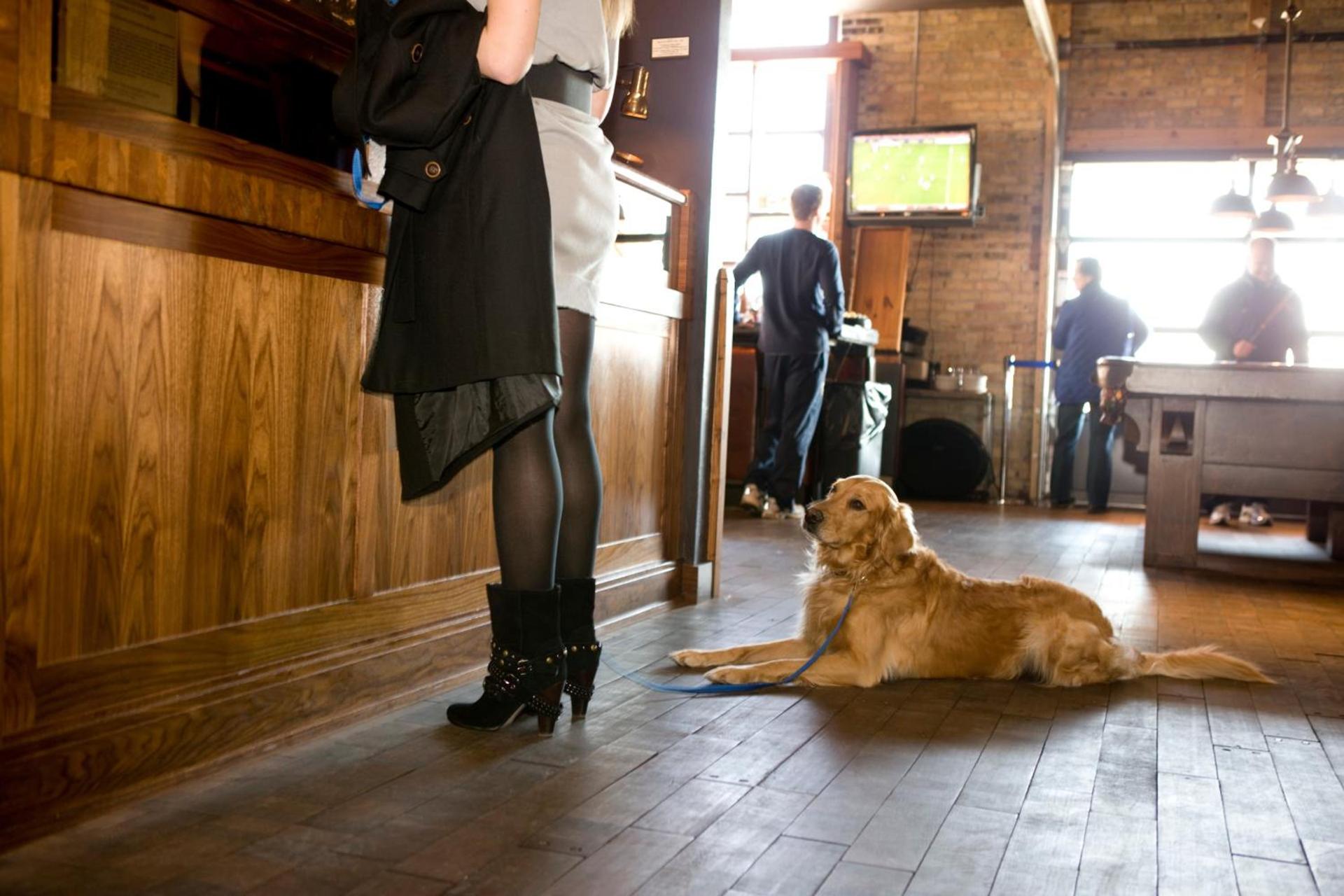 The Iron Horse Hotel photo 31