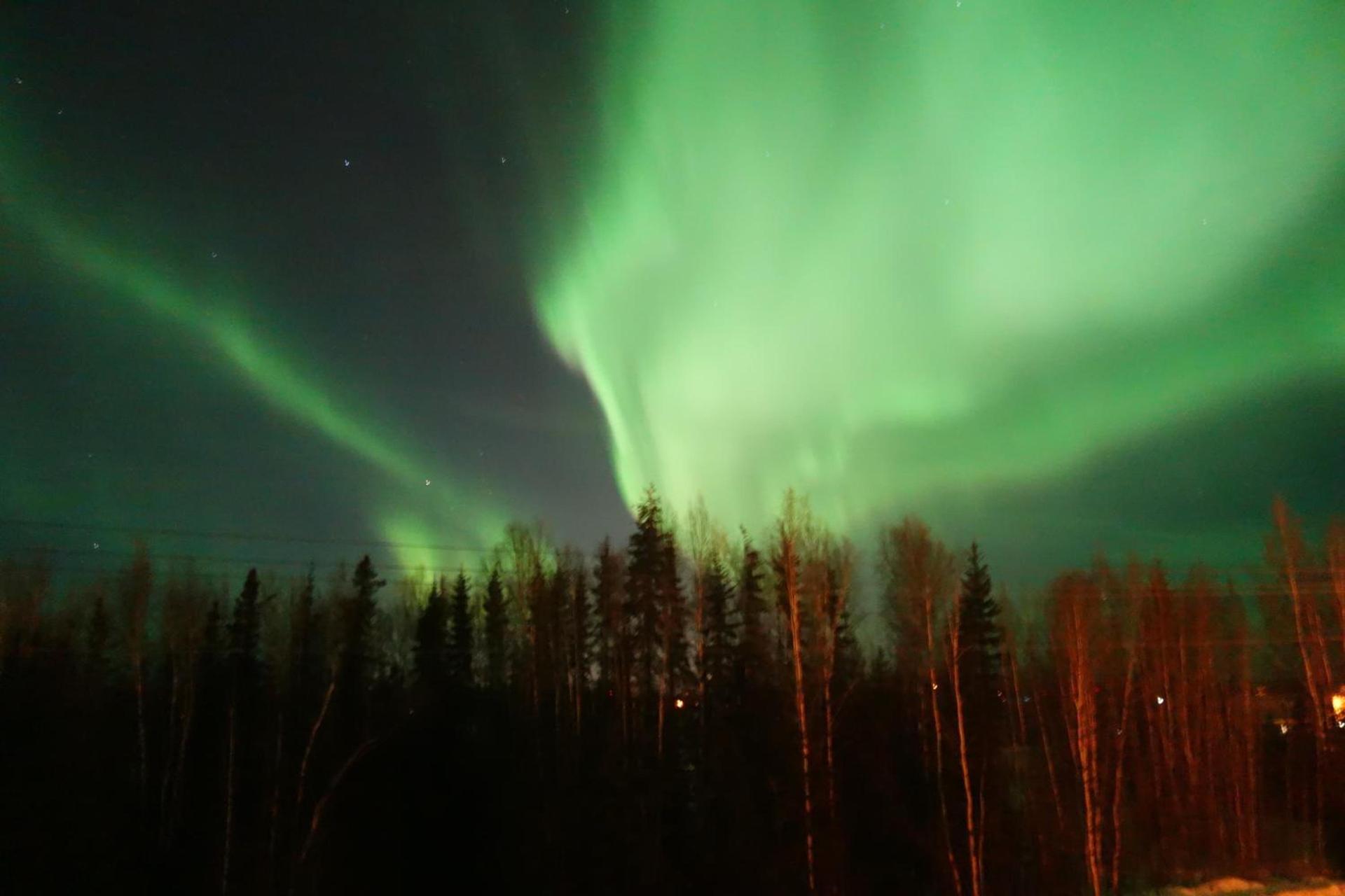 Hotel North Pole photo 32