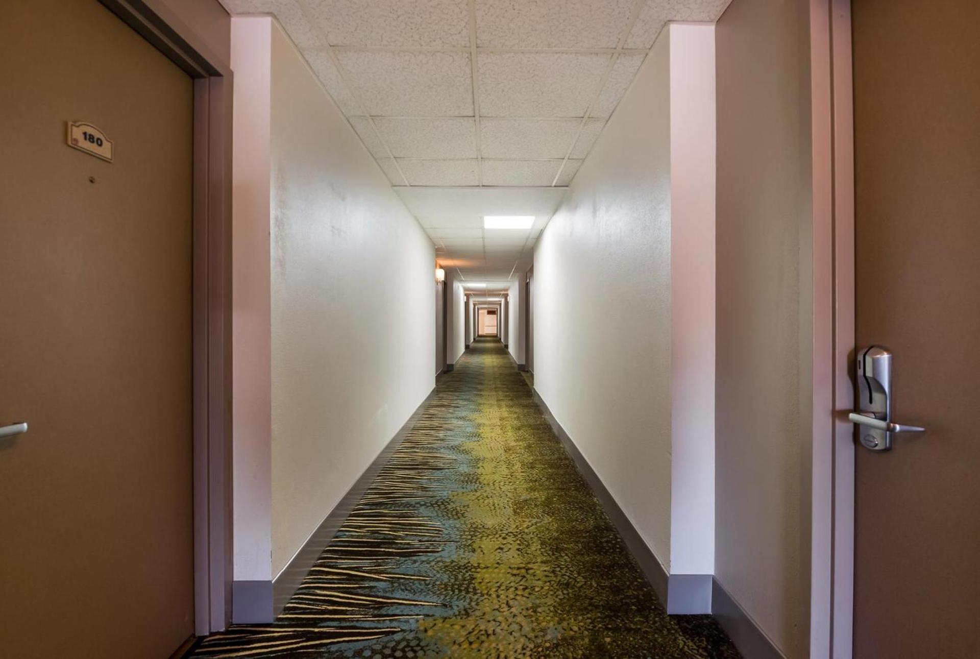 Red Roof Inn and Suites Newark - University photo 24