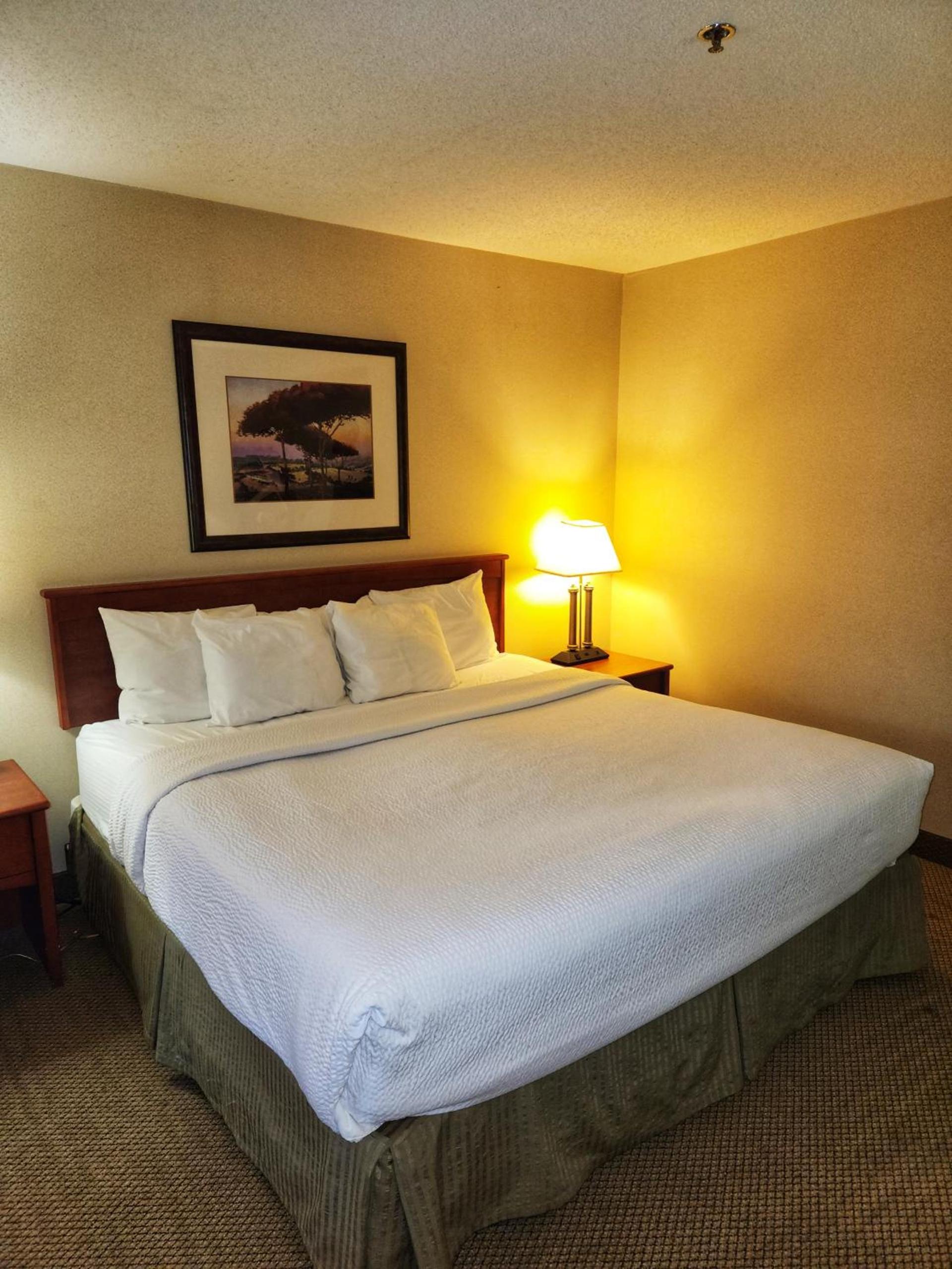 La Quinta by Wyndham Appleton College Avenue photo 64