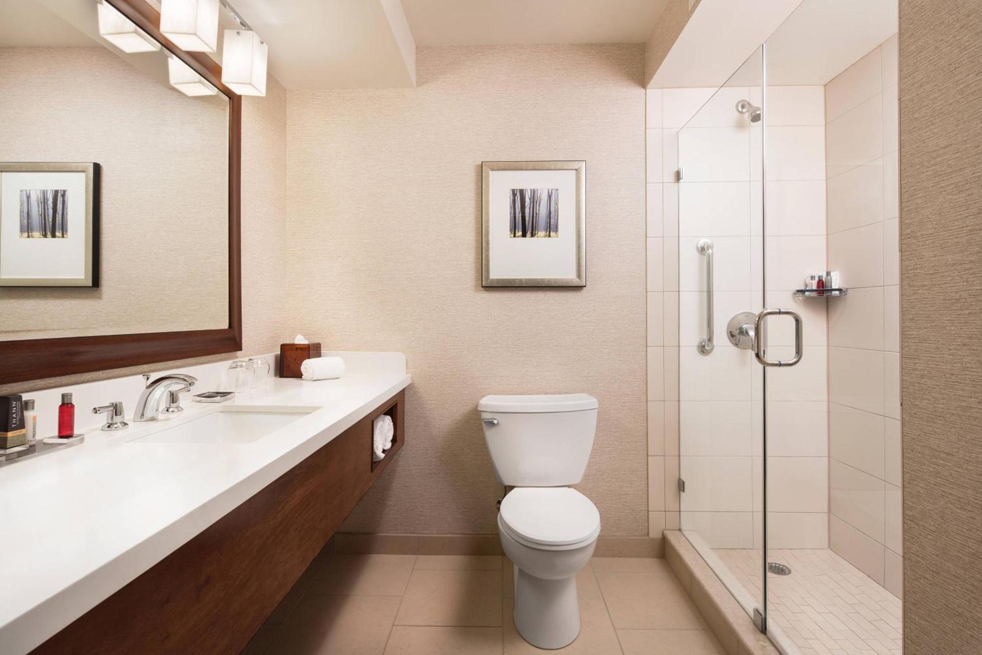 Chicago Marriott Naperville photo 27
