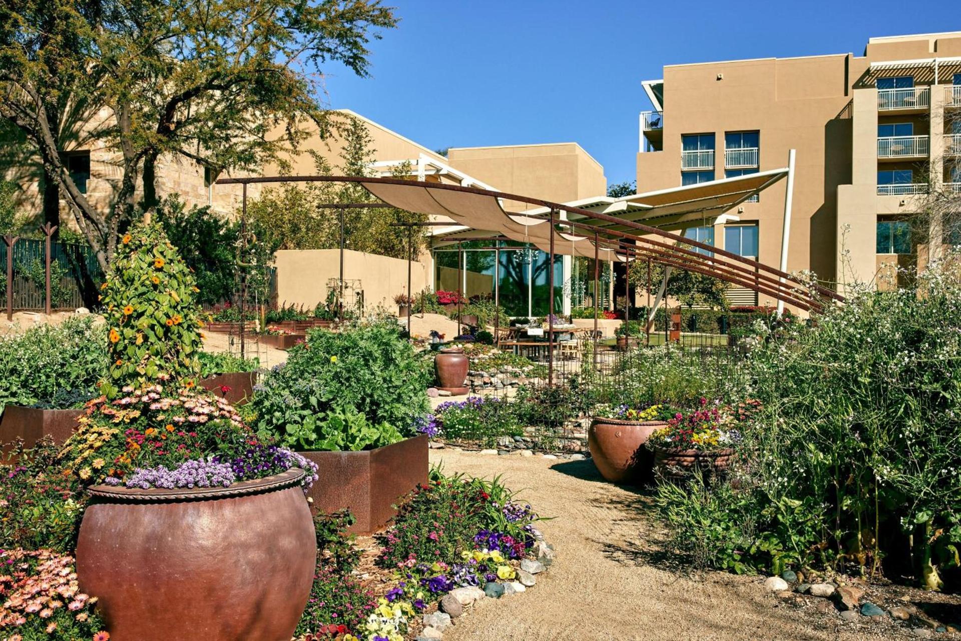 JW Marriott Phoenix Desert Ridge Resort & Spa photo 71
