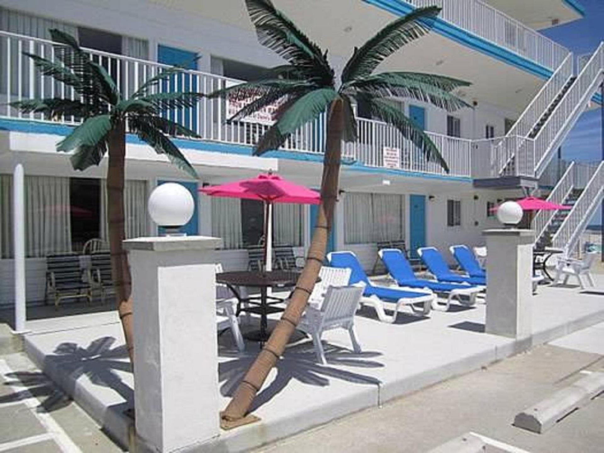 Apollo Motel photo 4