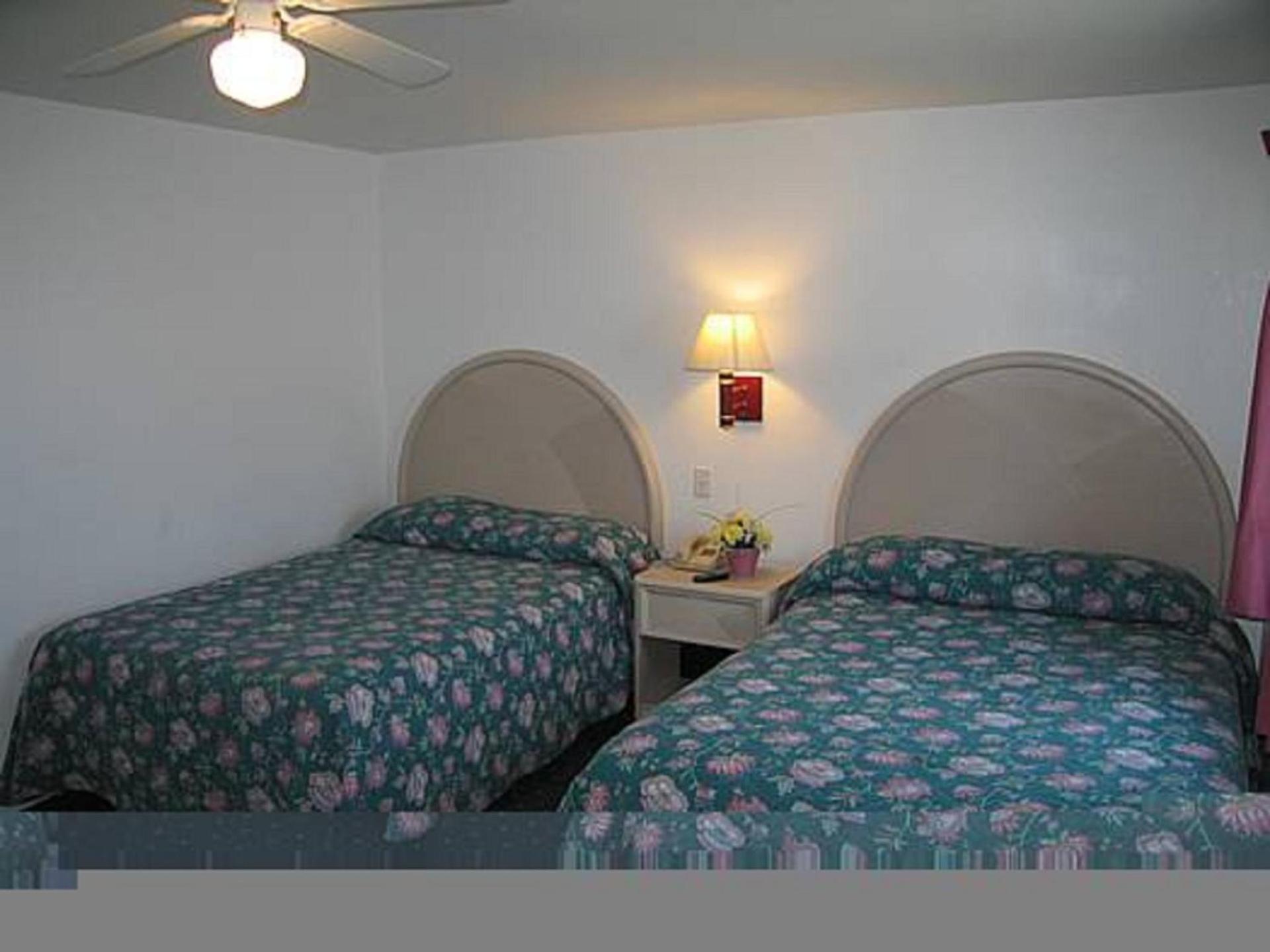 Apollo Motel photo 27