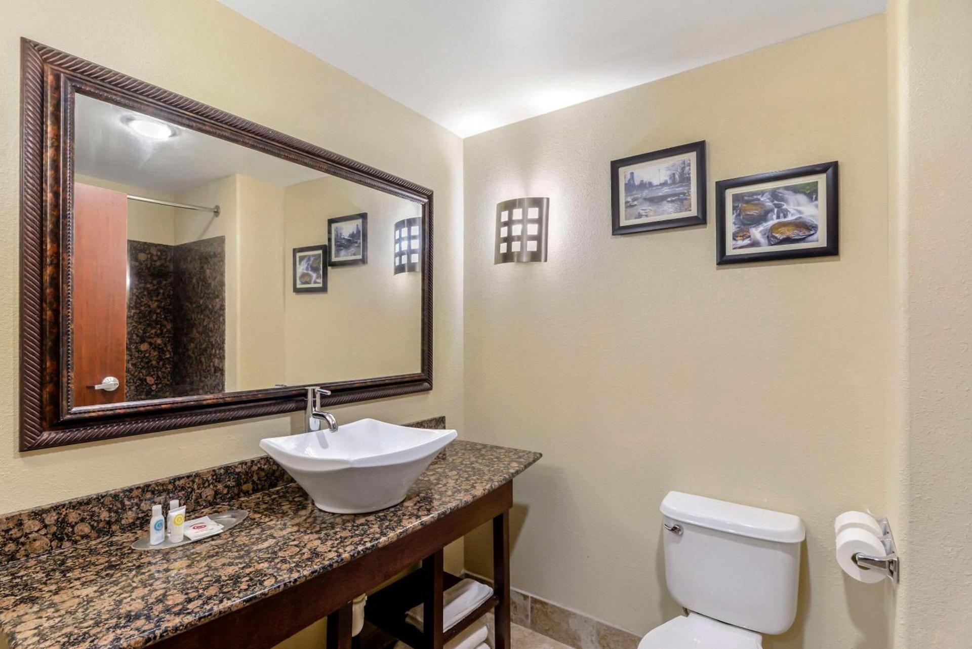Comfort Suites At Kennesaw State University photo 12